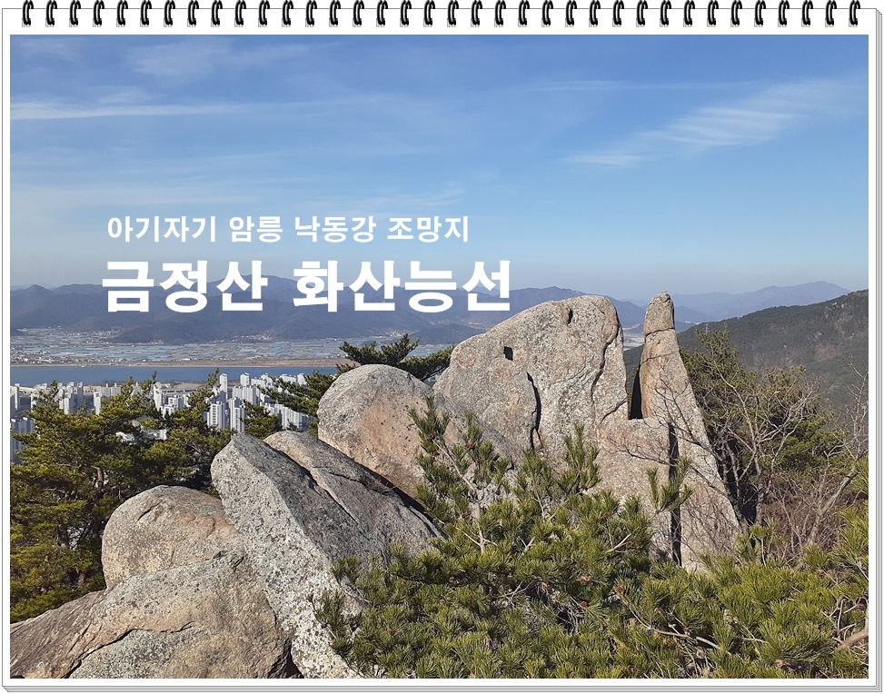화산홍어 이미지