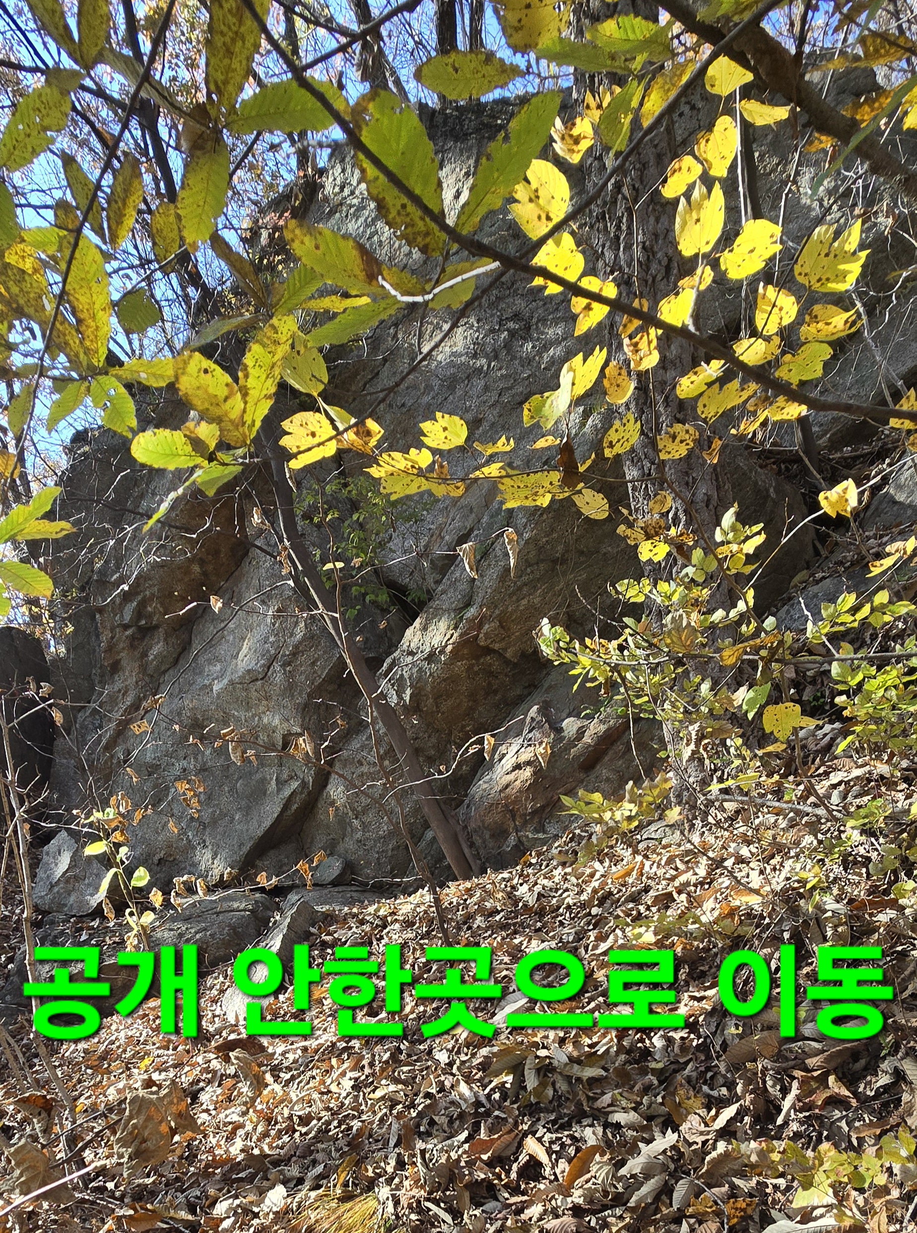윈풀 이미지