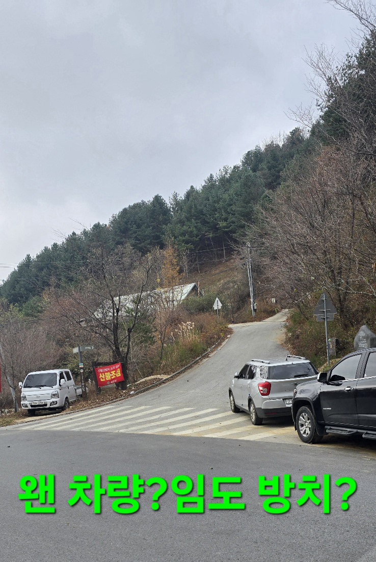 상경 이미지