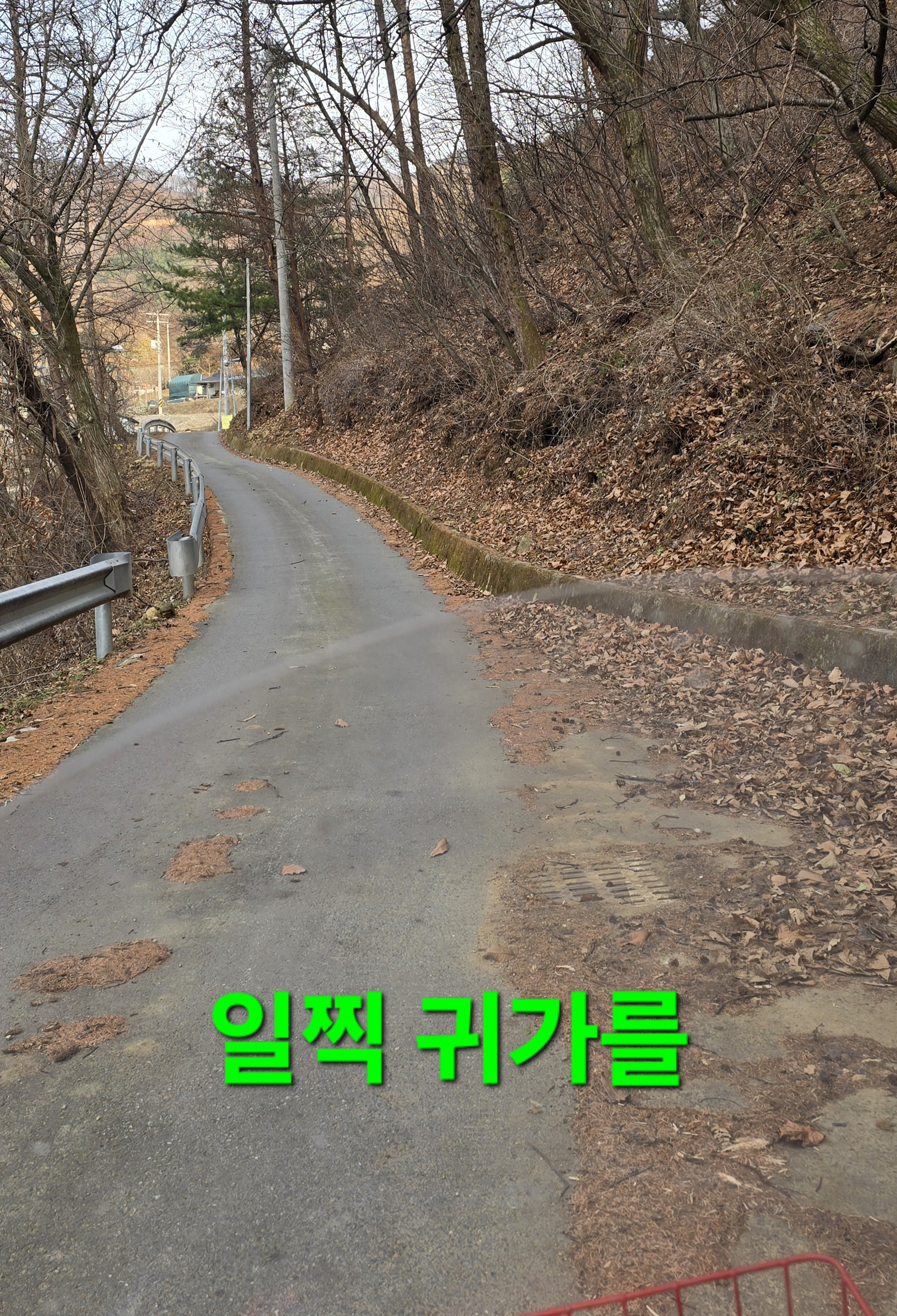 크로도 이미지