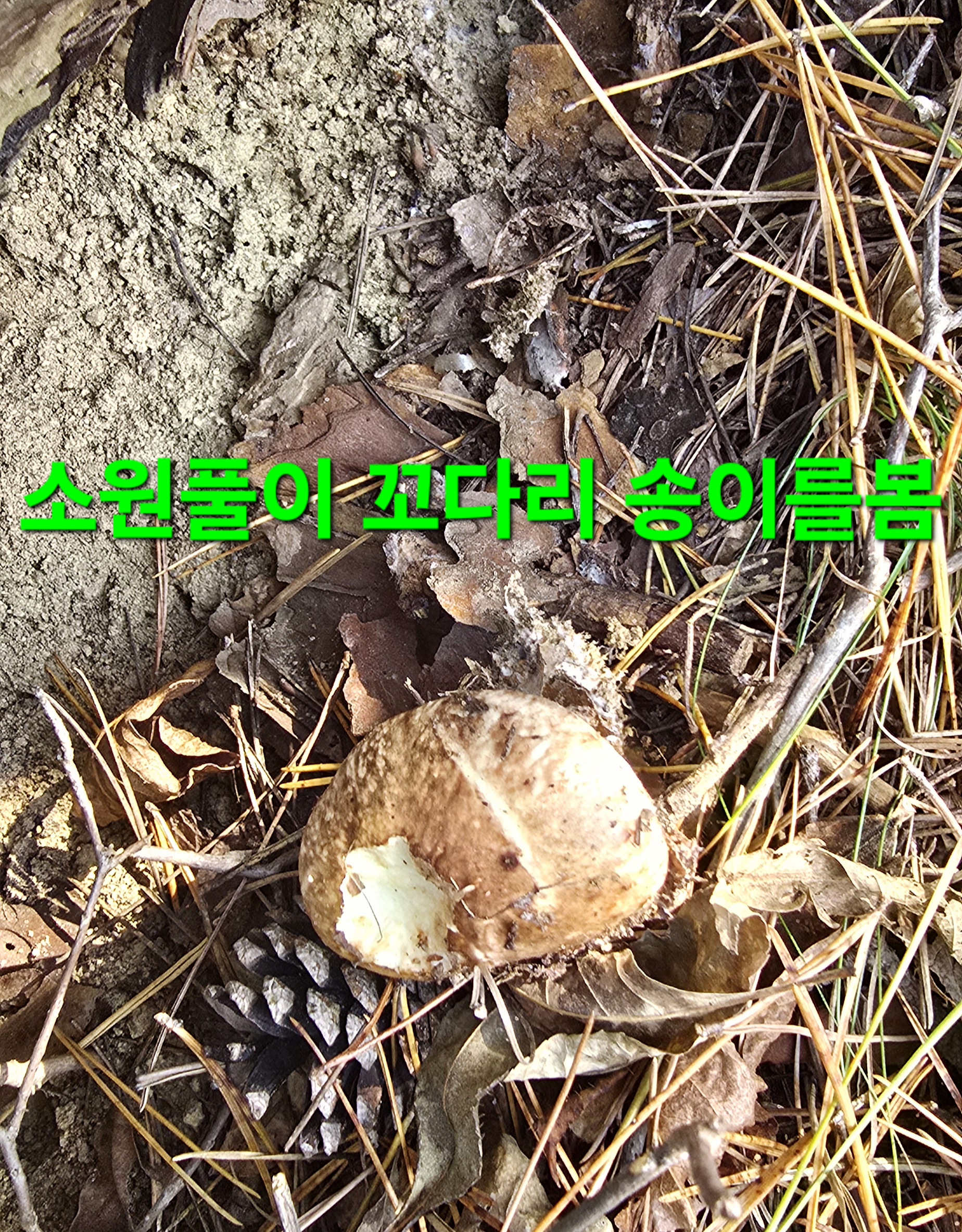 윈풀 이미지