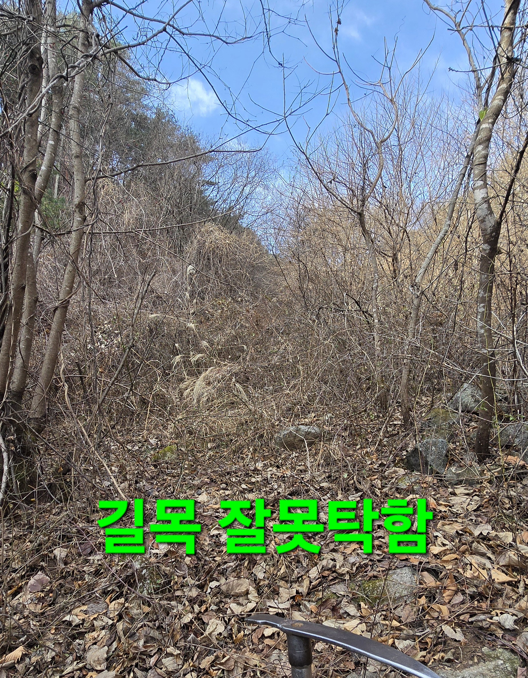 크로도 이미지