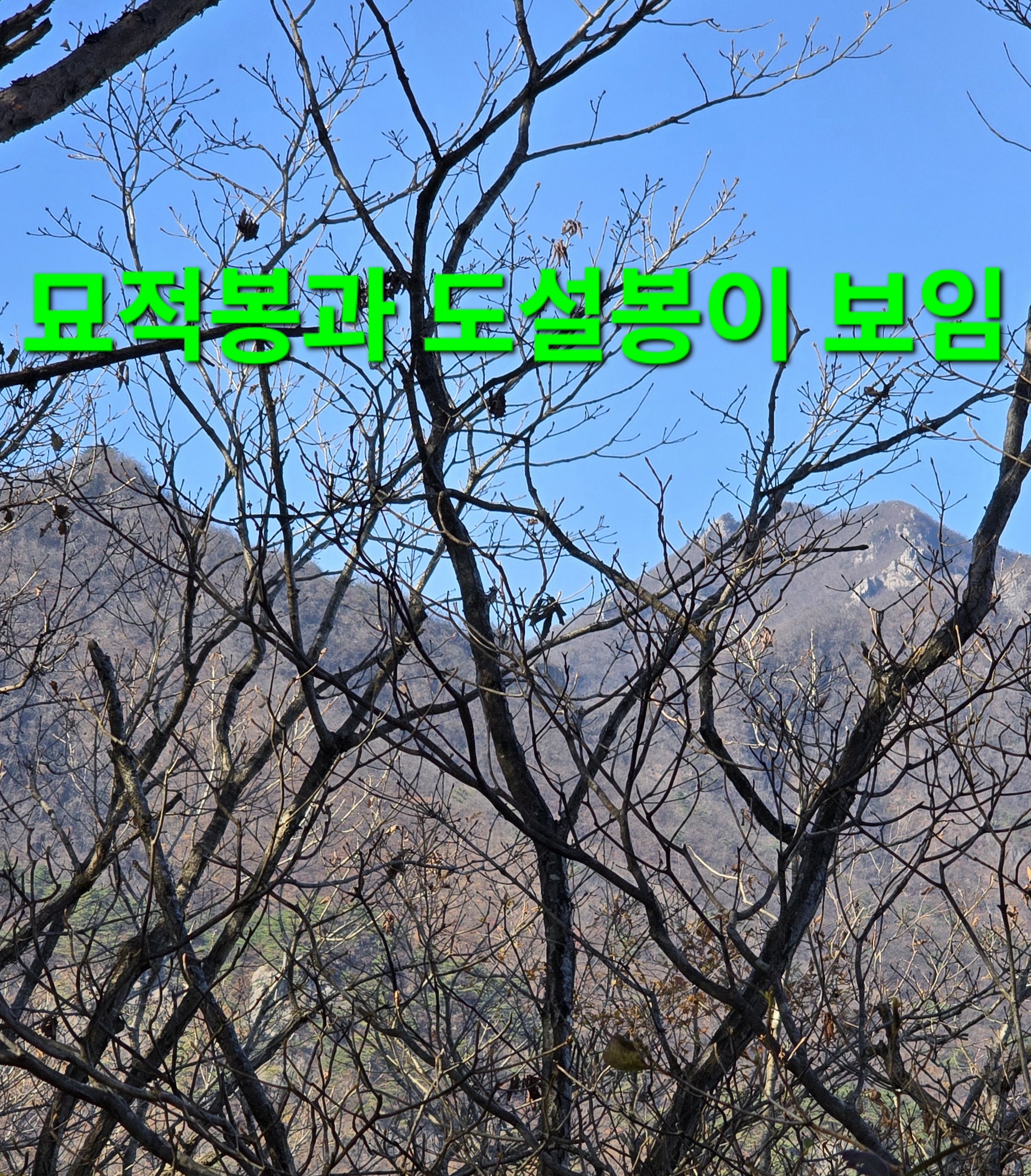 윈풀 이미지