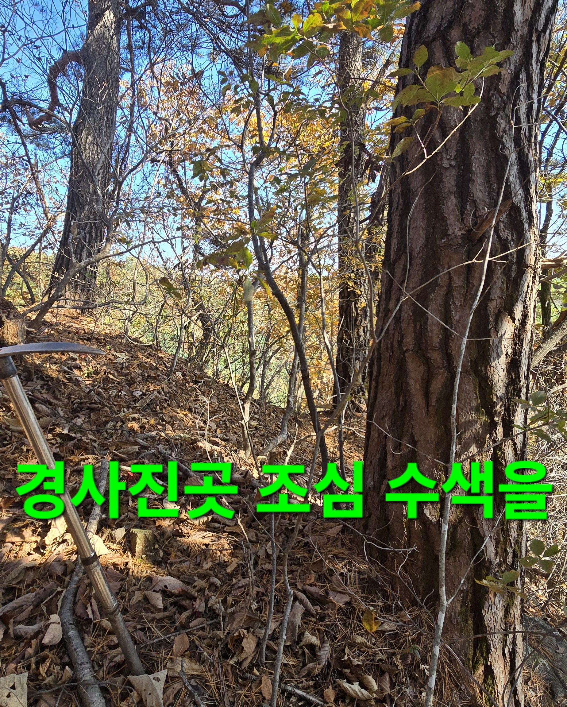 윈풀 이미지