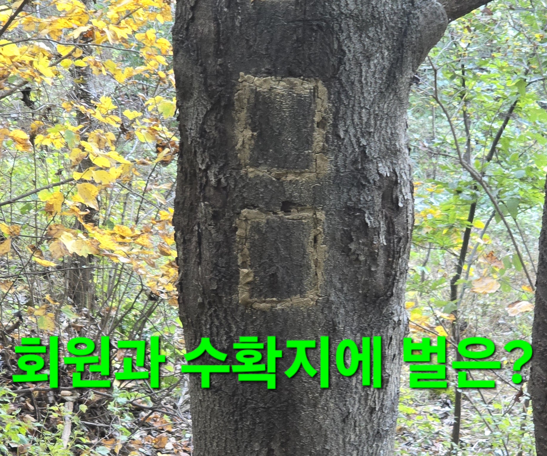 동행상조 이미지