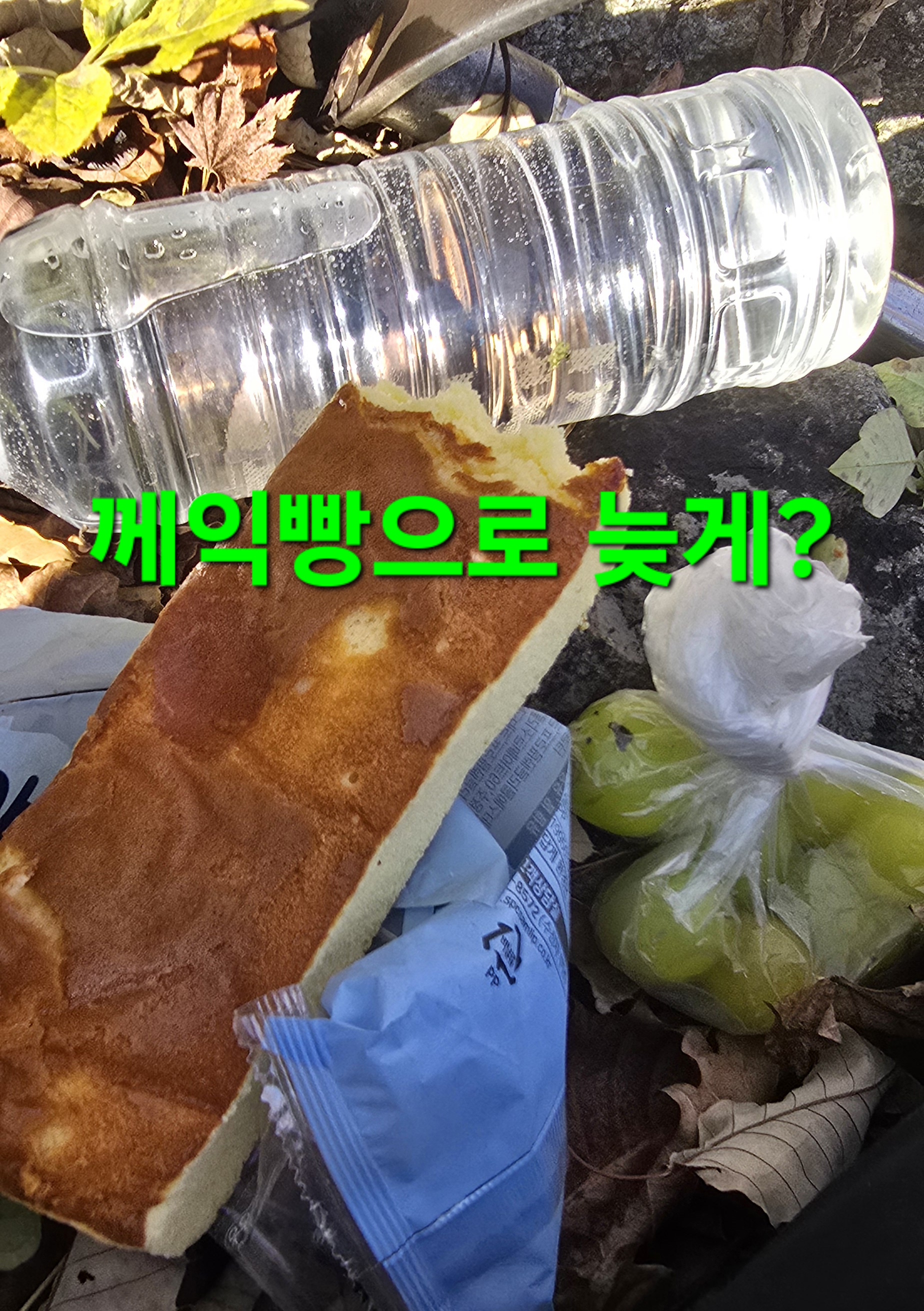 윈풀 이미지