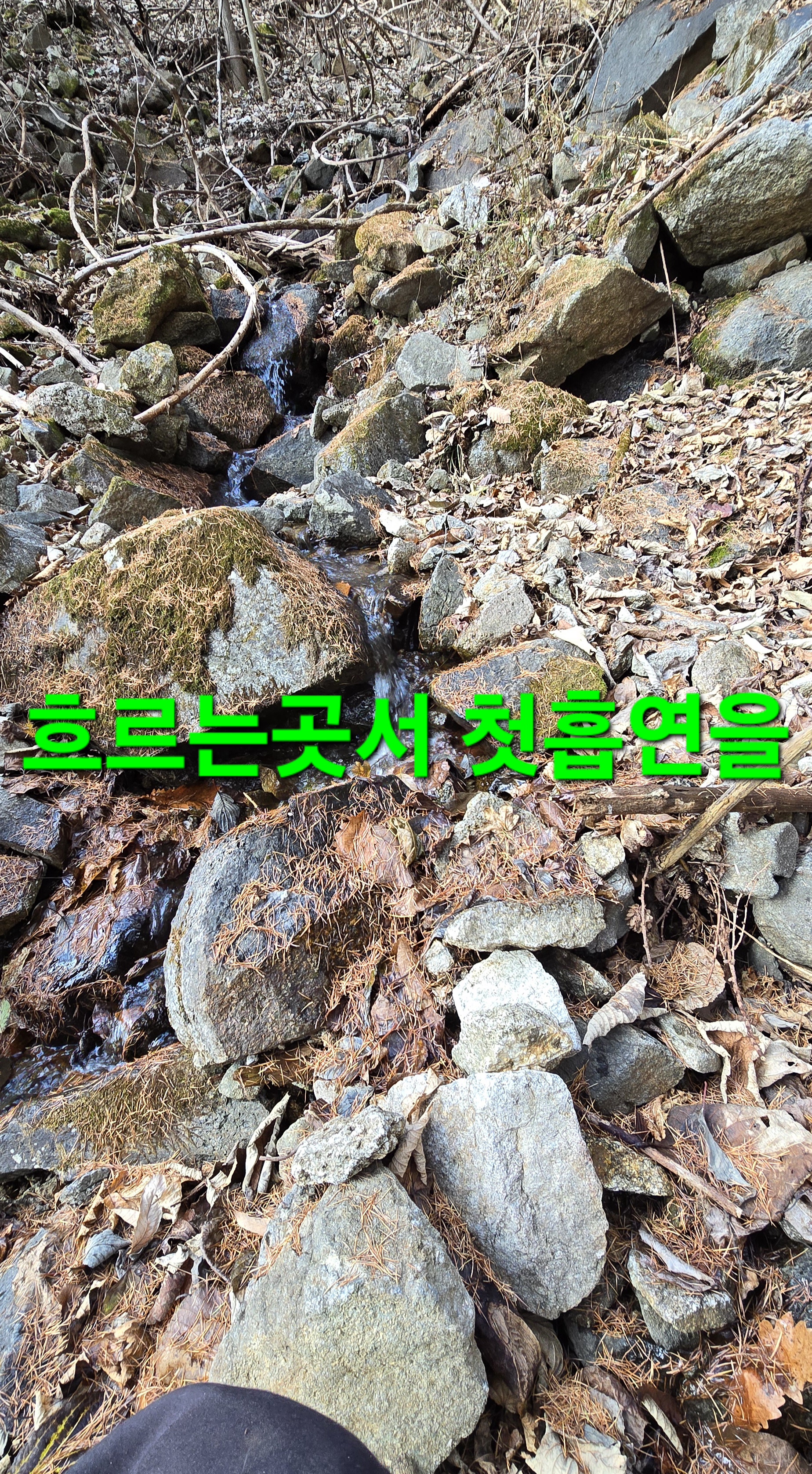 한골요 이미지