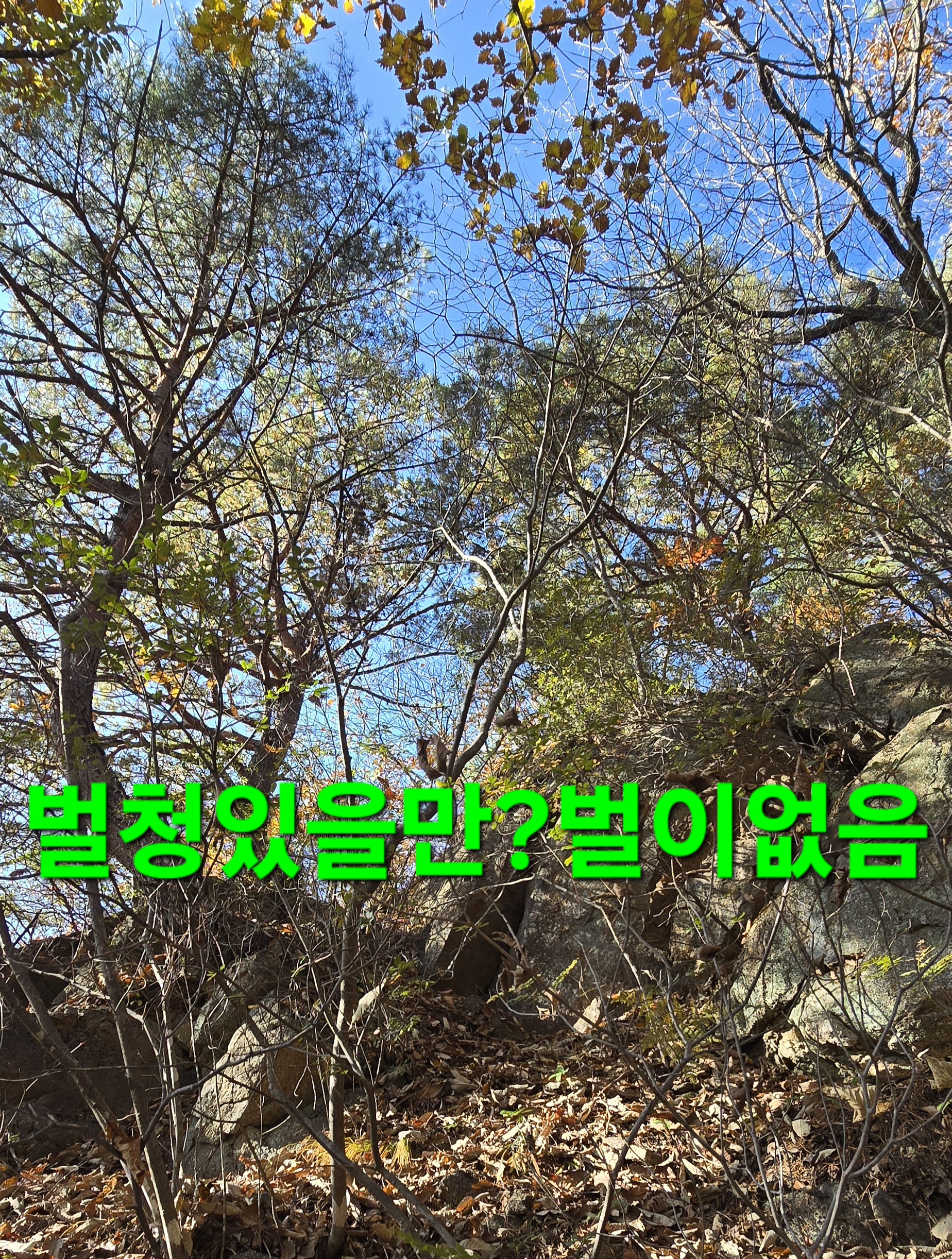 윈풀 이미지