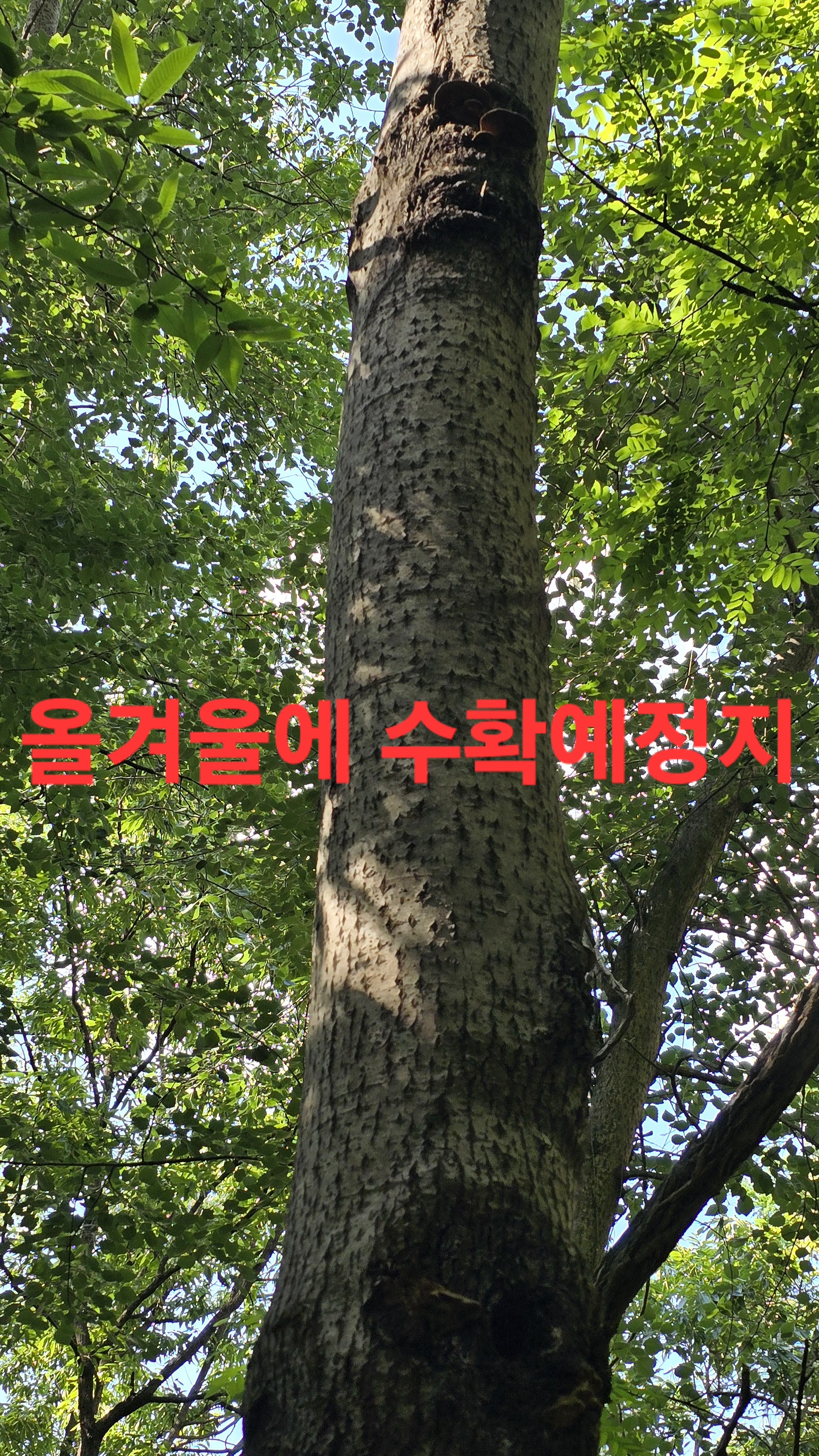 어부지리 이미지