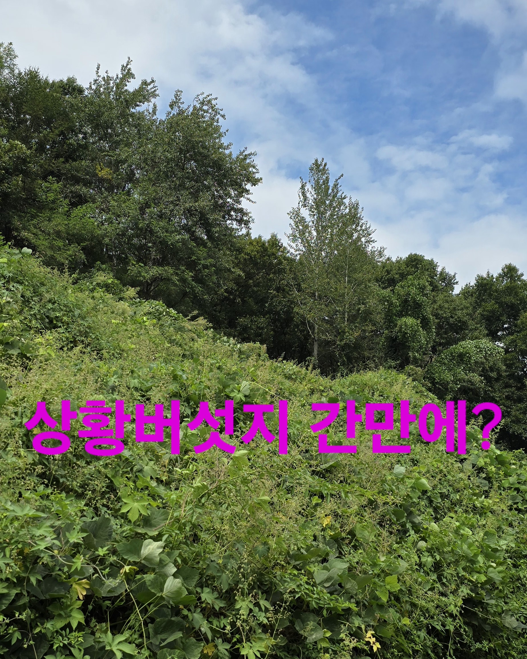 무진장 이미지