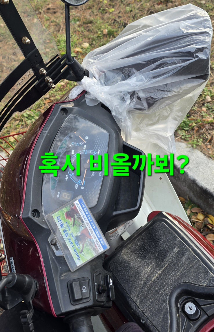 상경 이미지