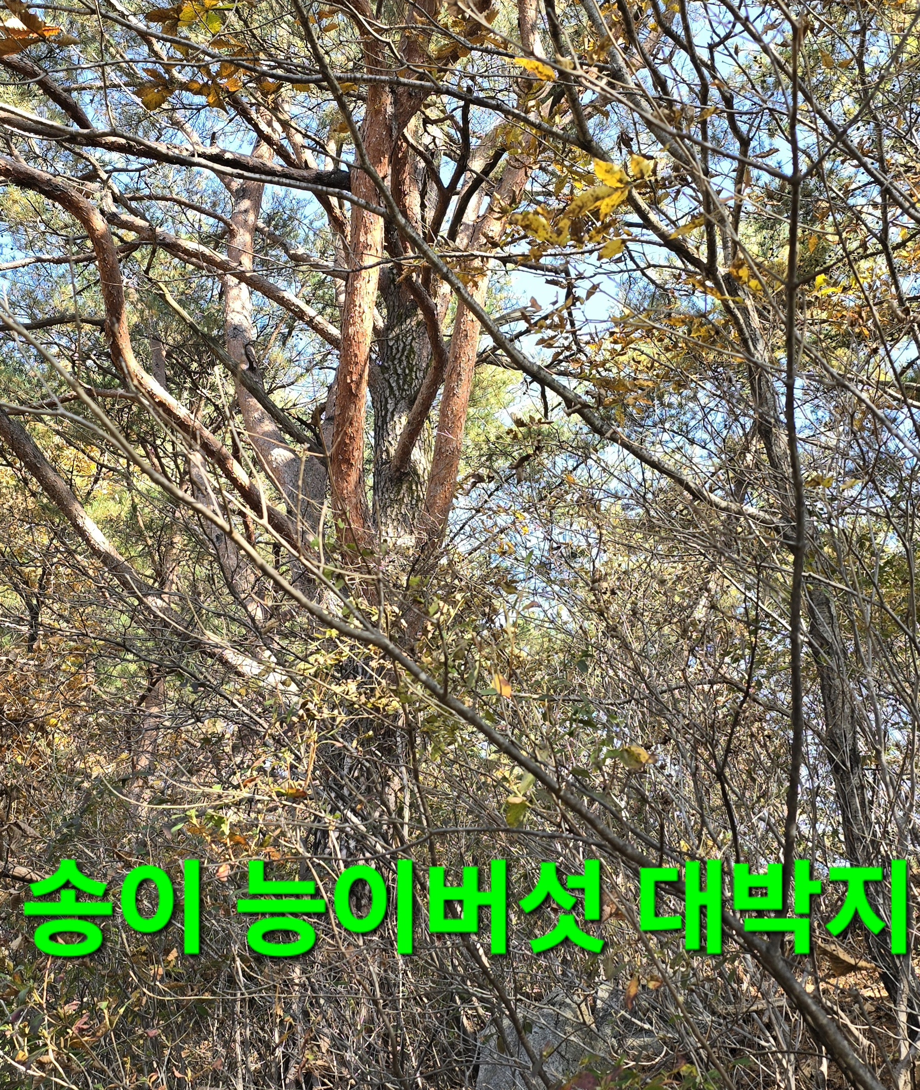 윈풀 이미지