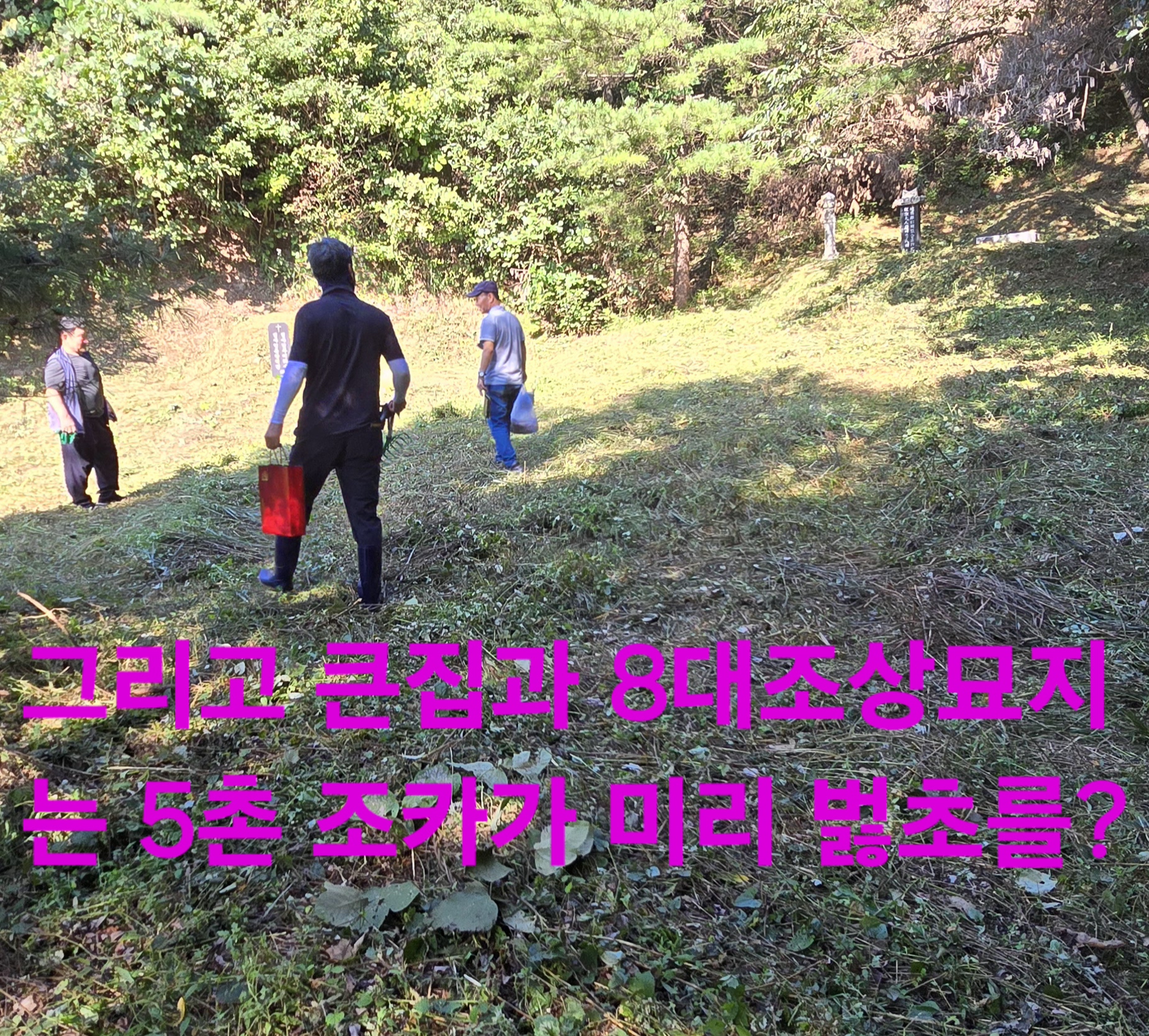 무진장 이미지