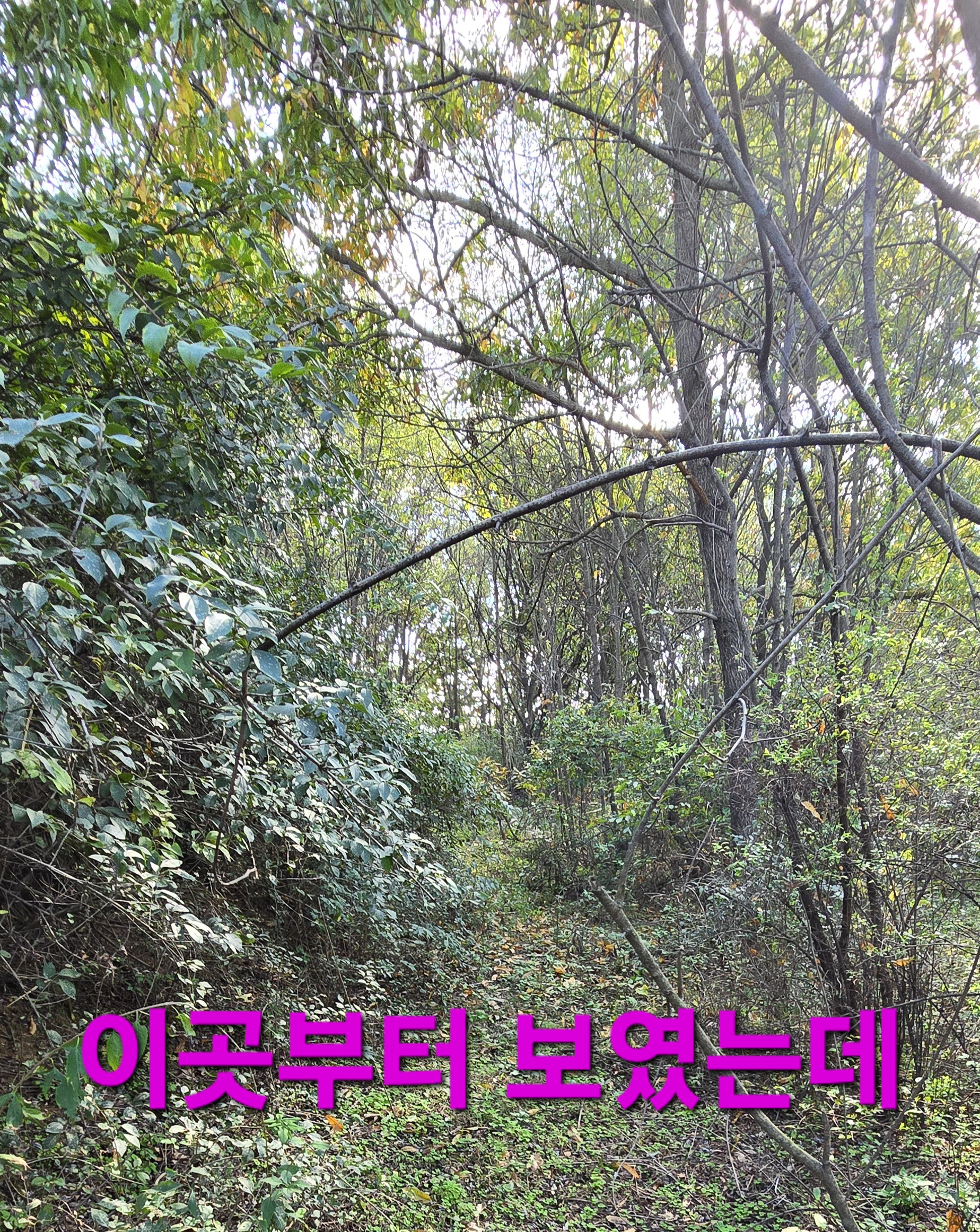 동행상조 이미지