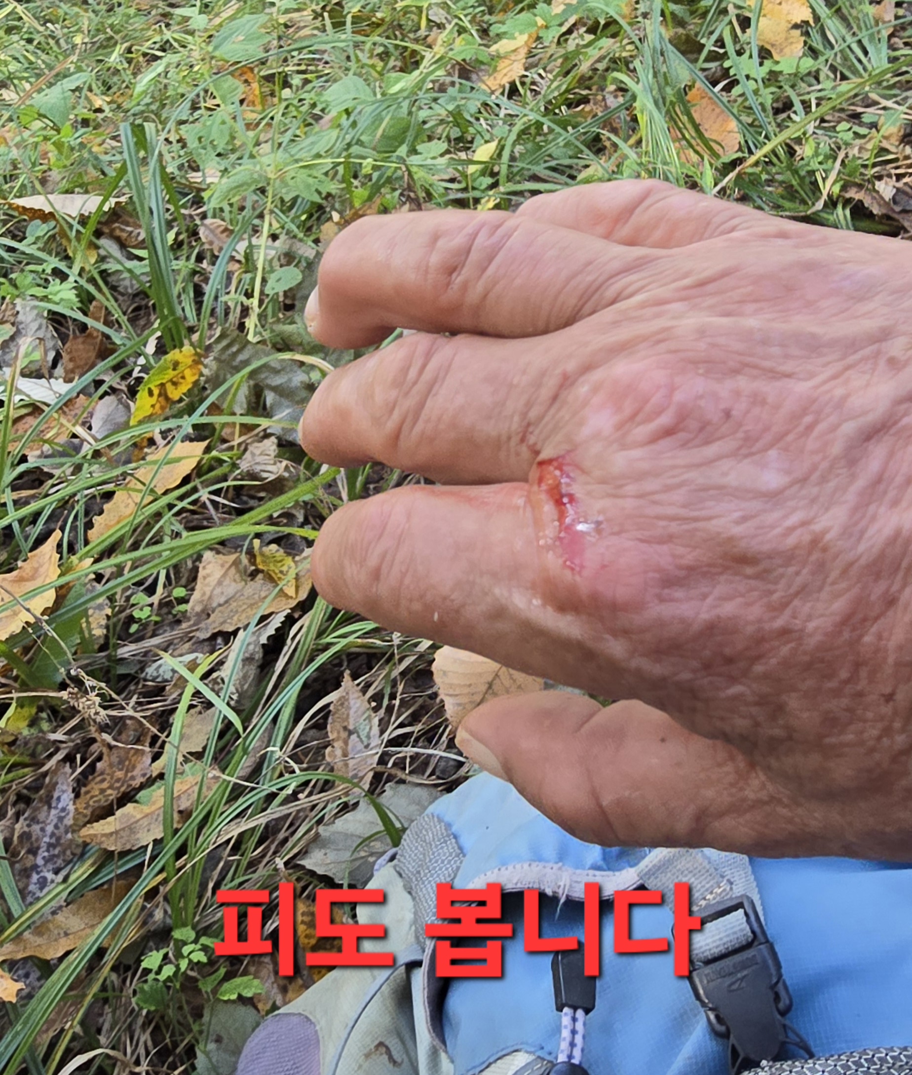 동행상조 이미지
