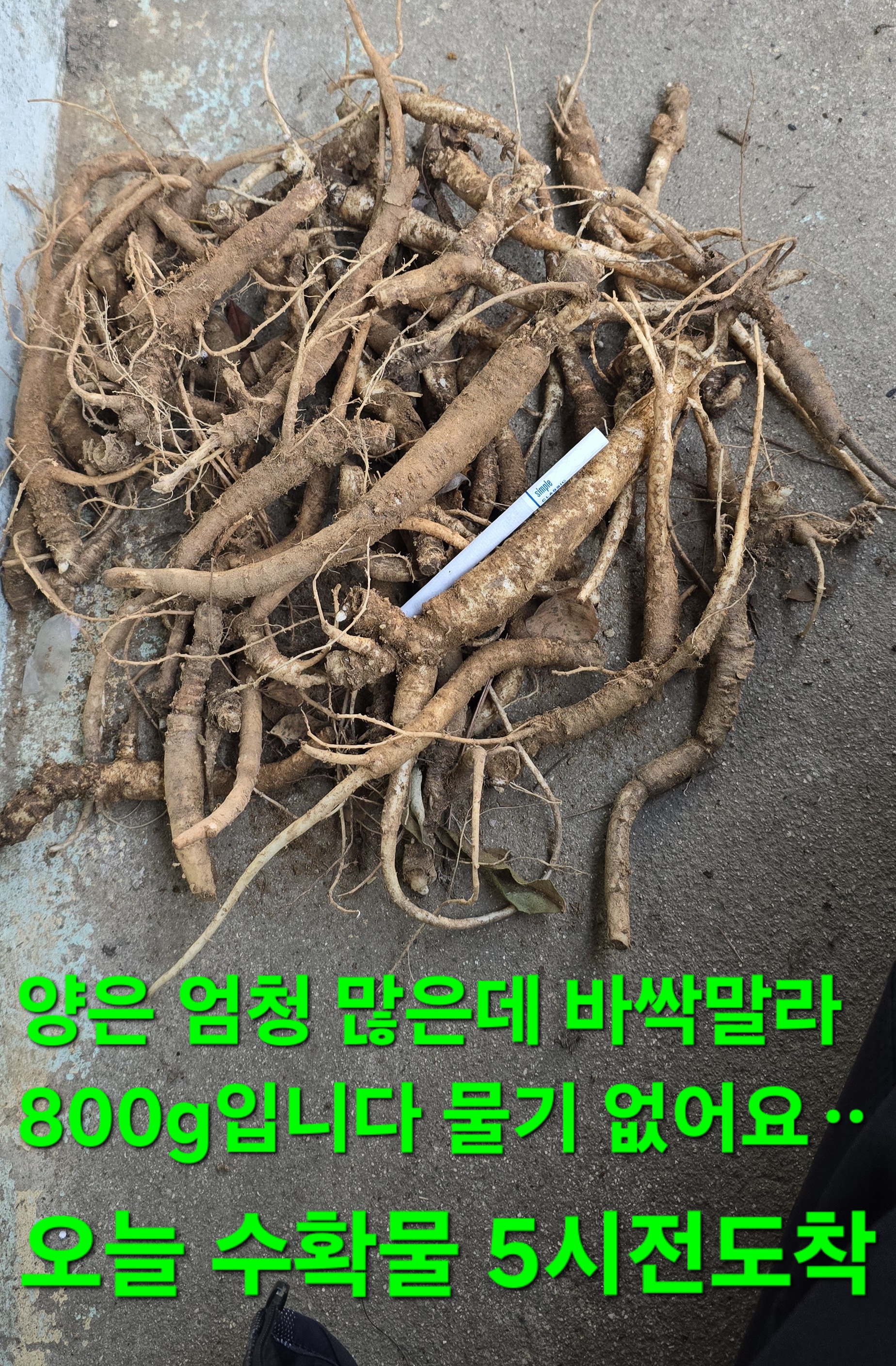 풍기주유소 이미지