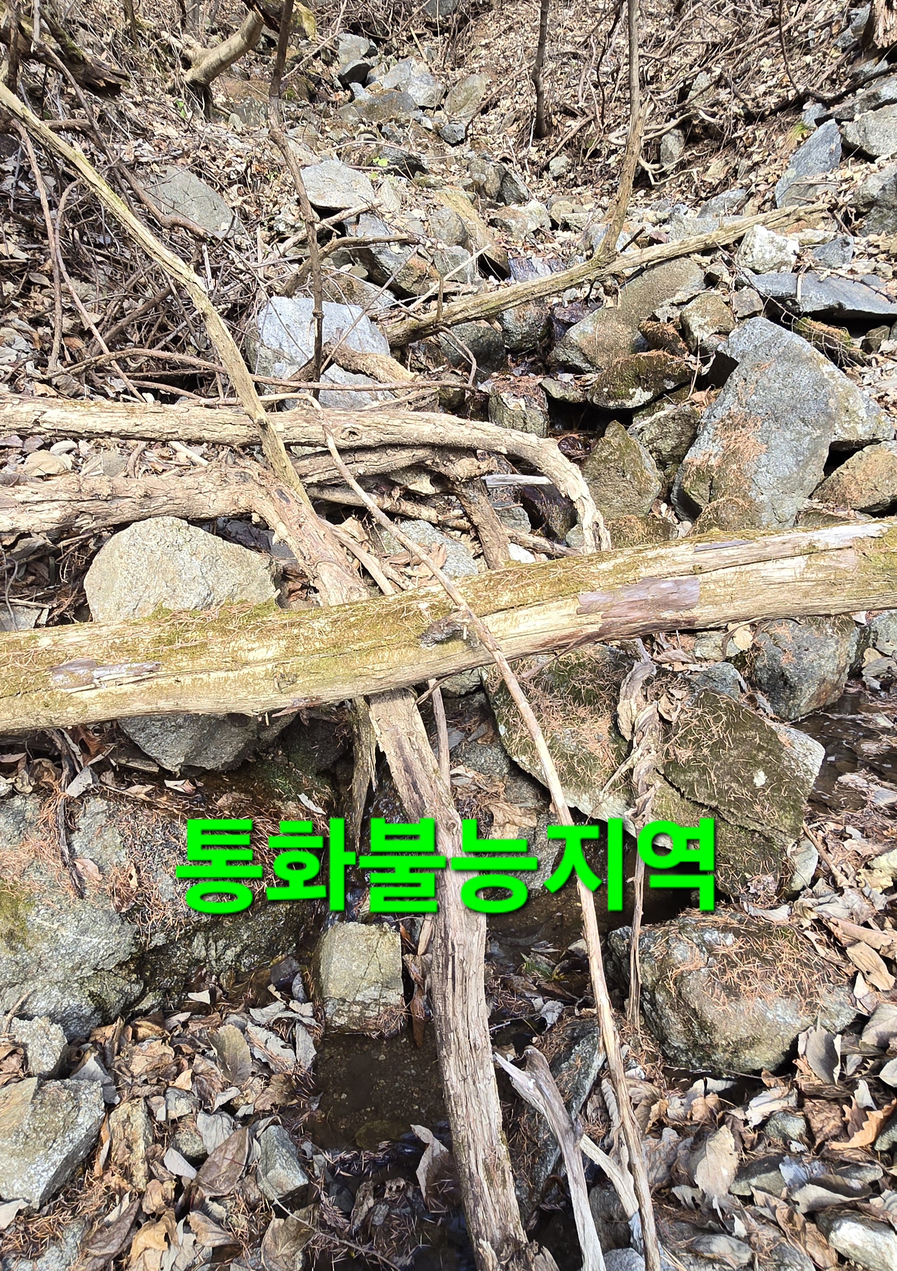 한골요 이미지