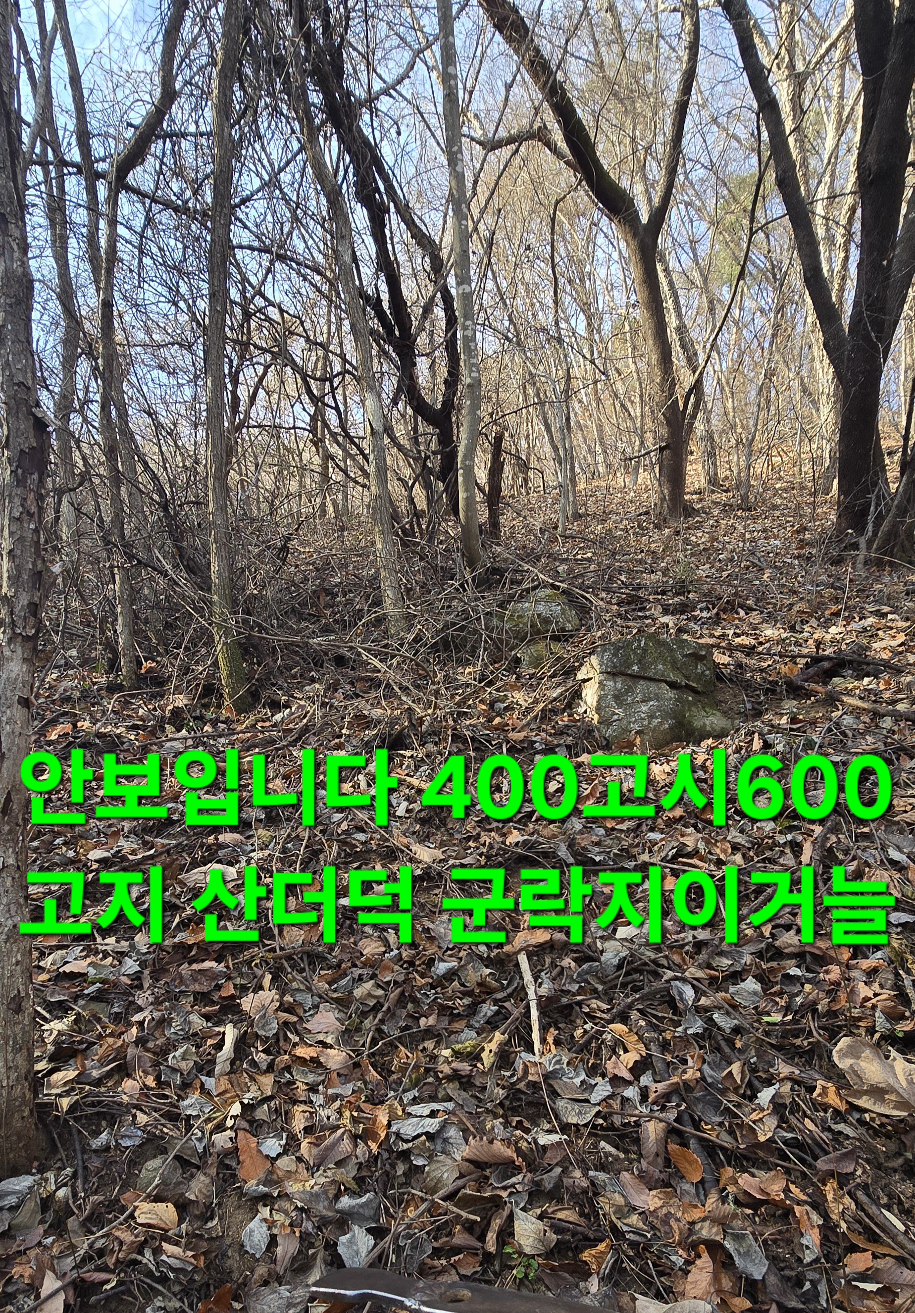 크로도 이미지
