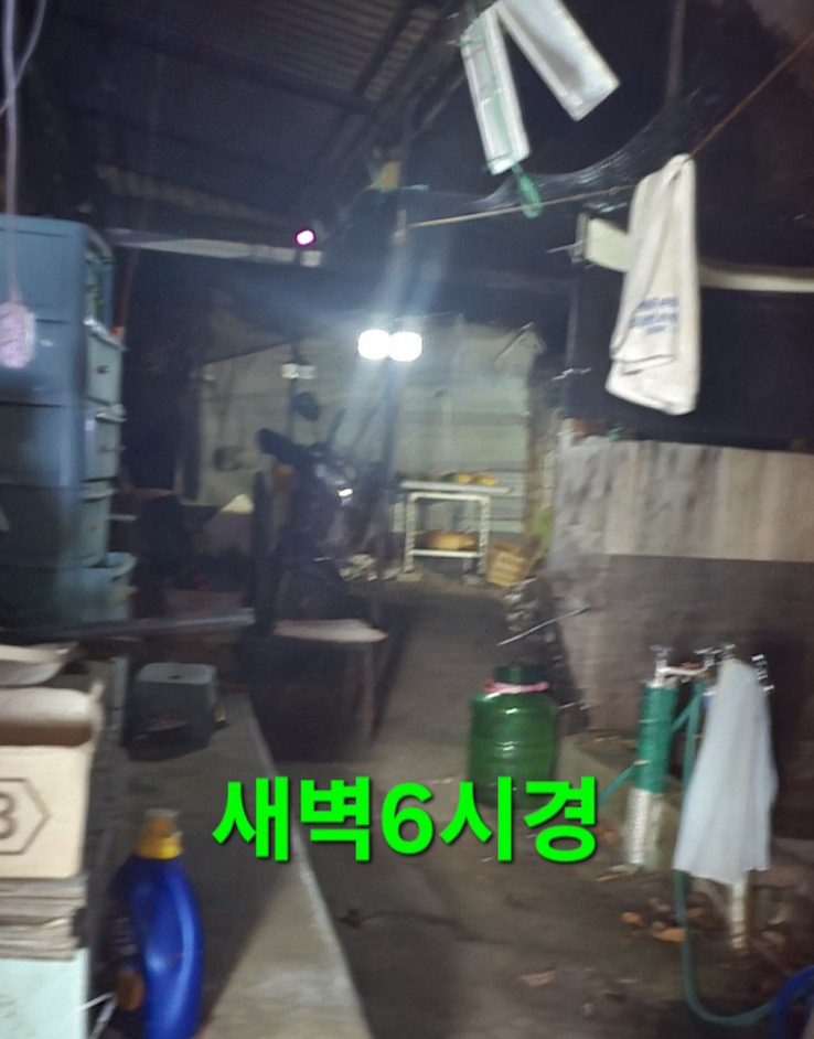 상경 이미지