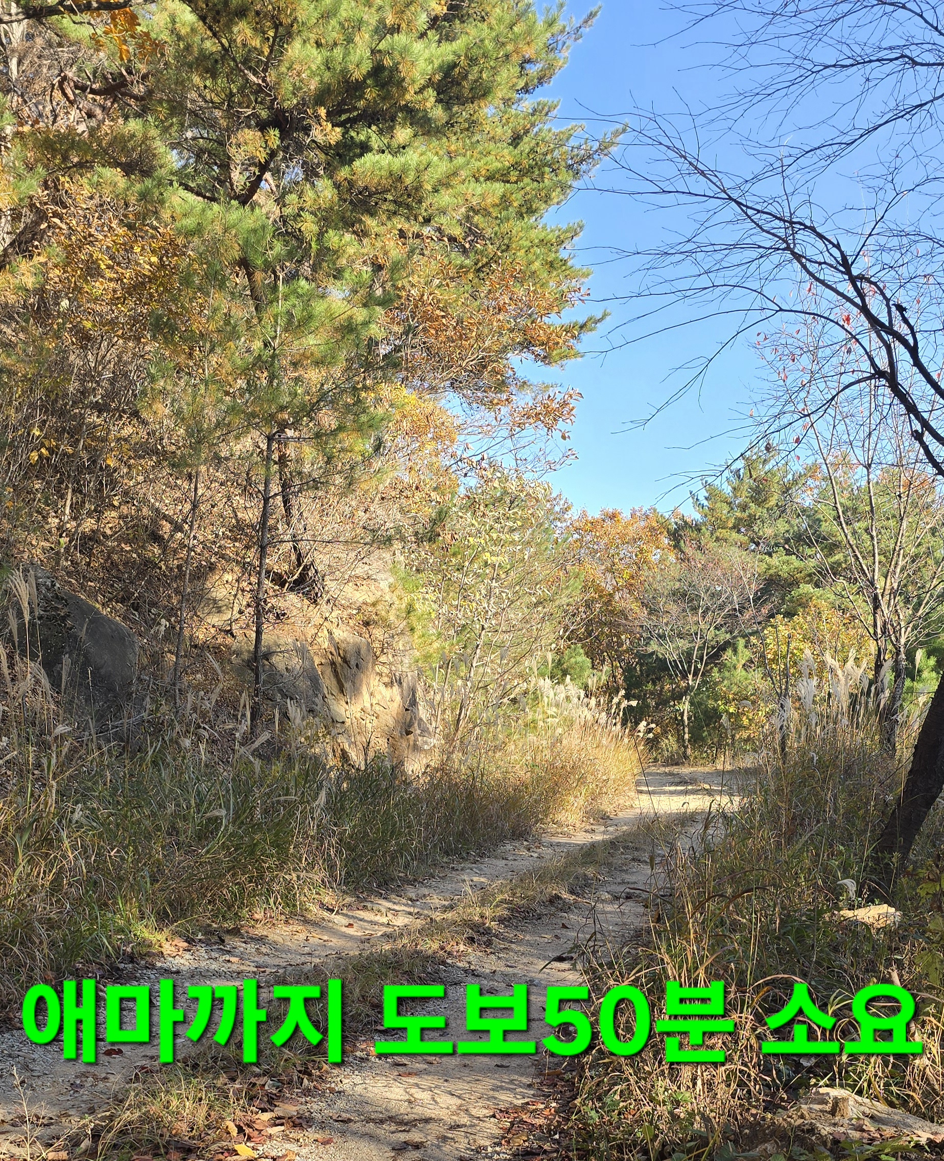 윈풀 이미지