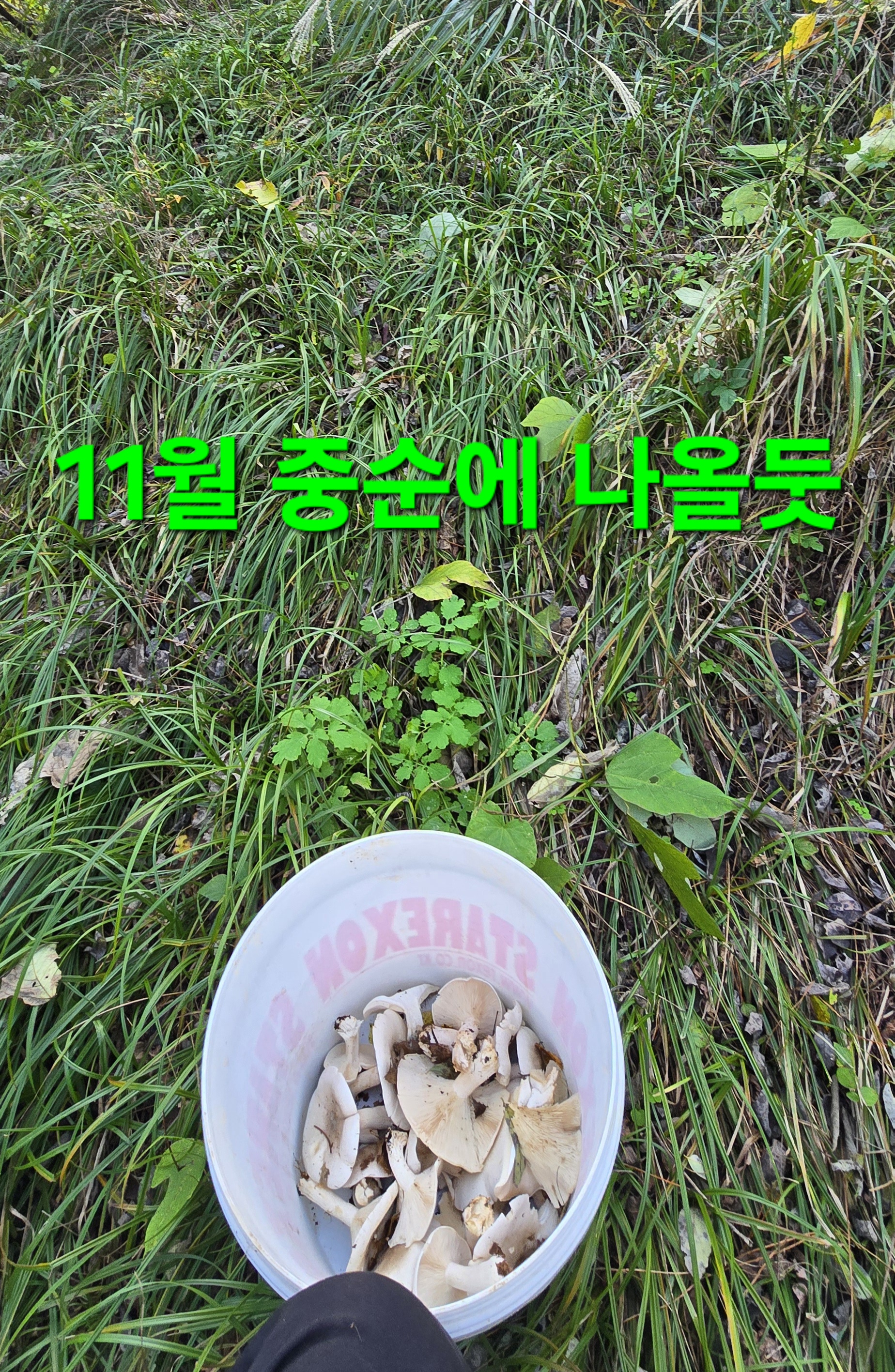 동행상조 이미지