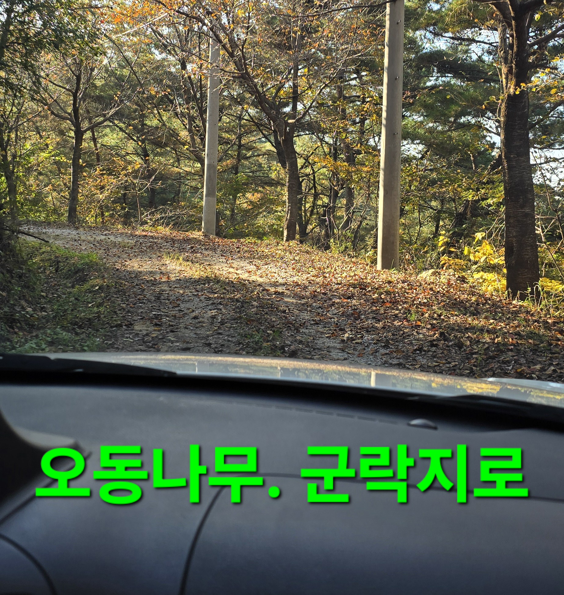 동행상조 이미지