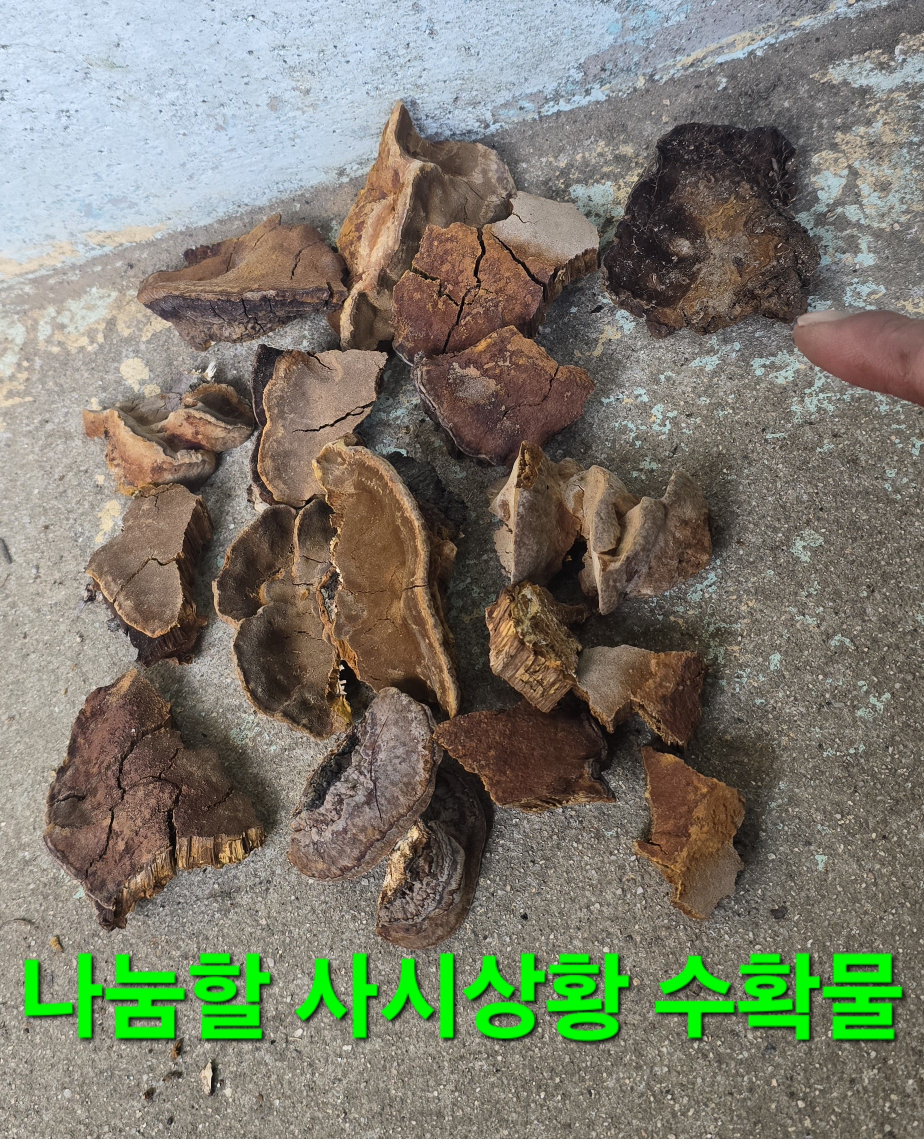 호명주유소 이미지