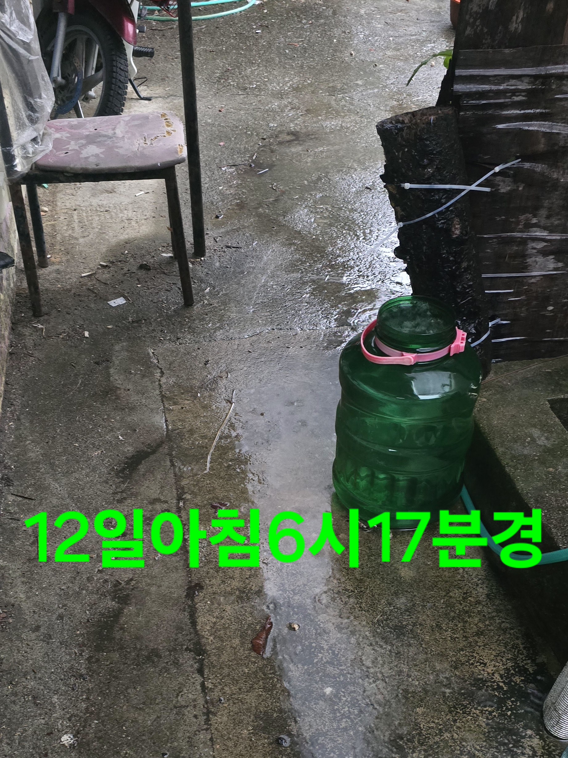 단비 이미지