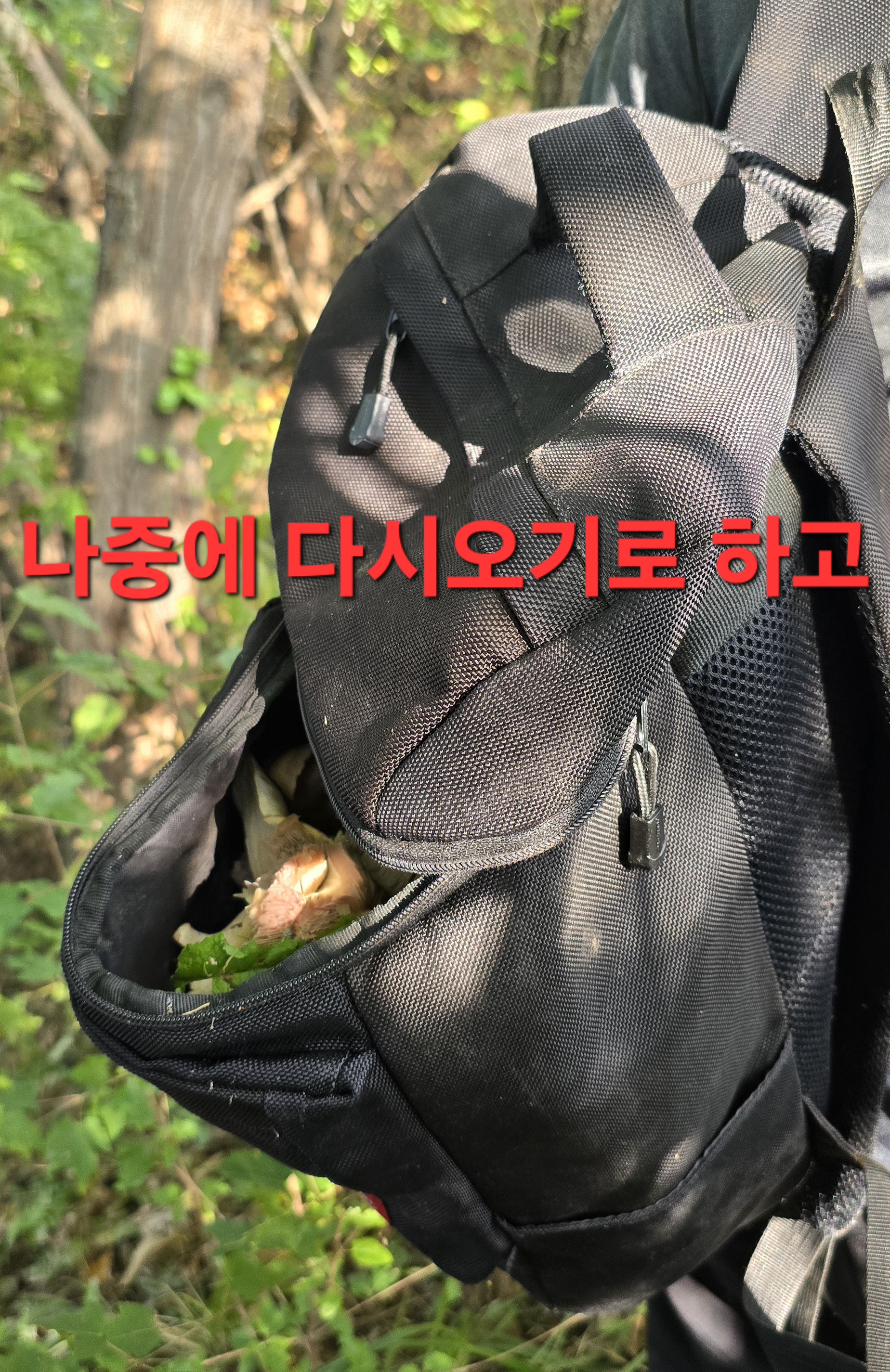 동행상조 이미지