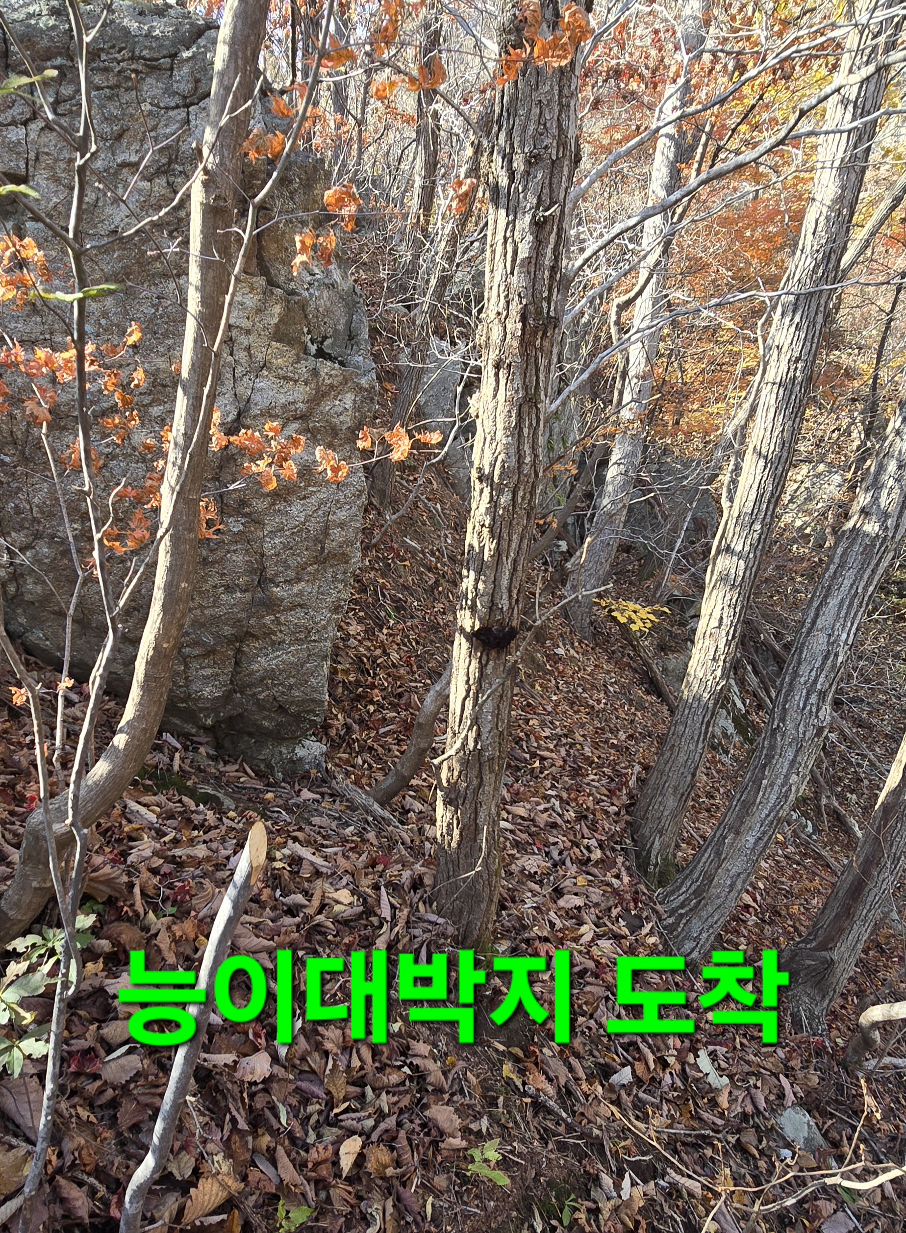 윈풀 이미지