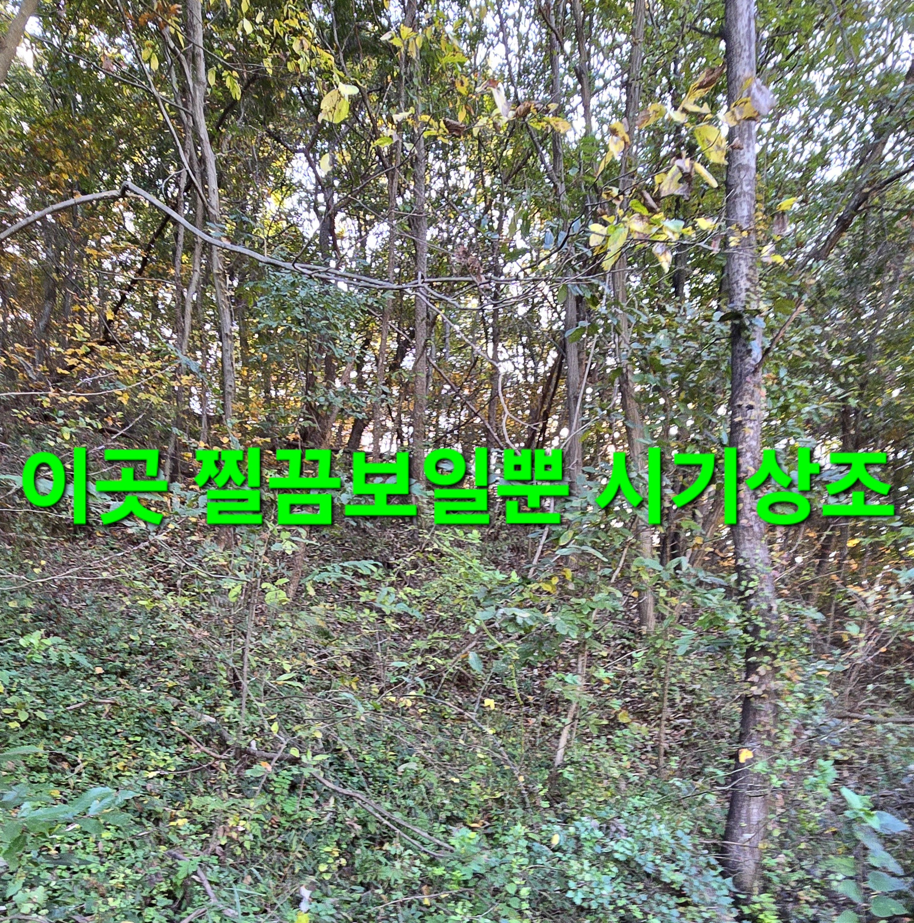 동행상조 이미지