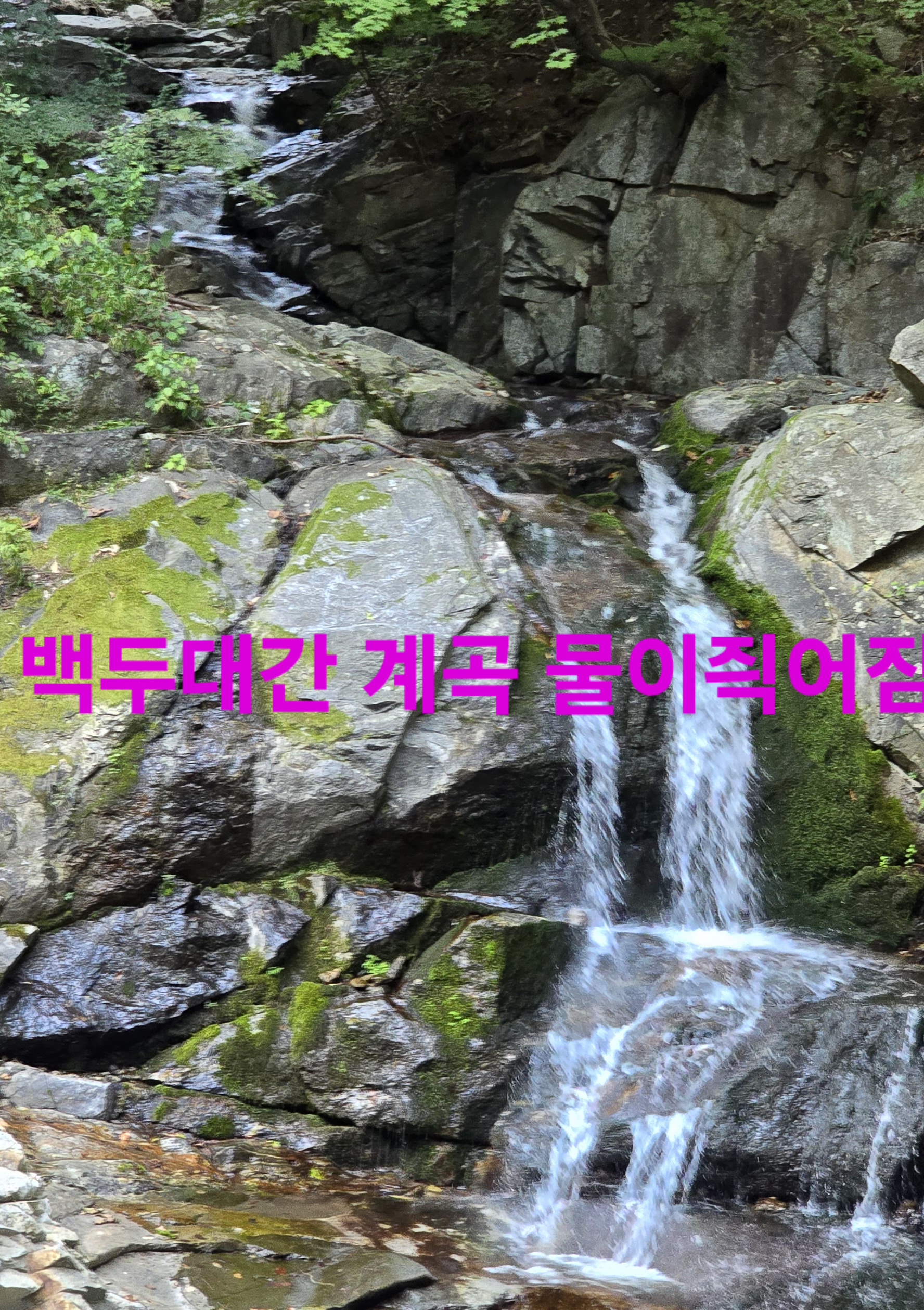 무진장 이미지