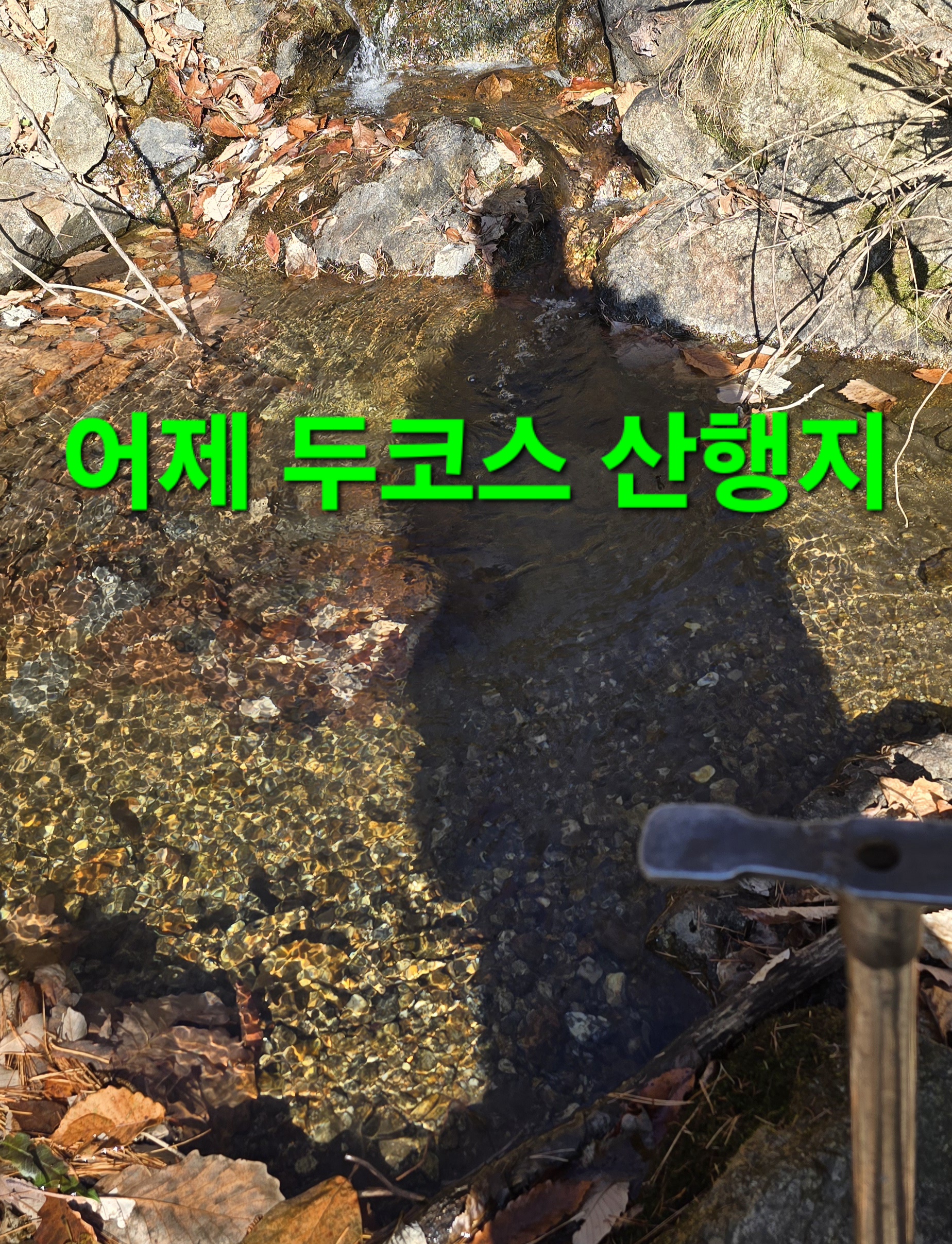한골요 이미지