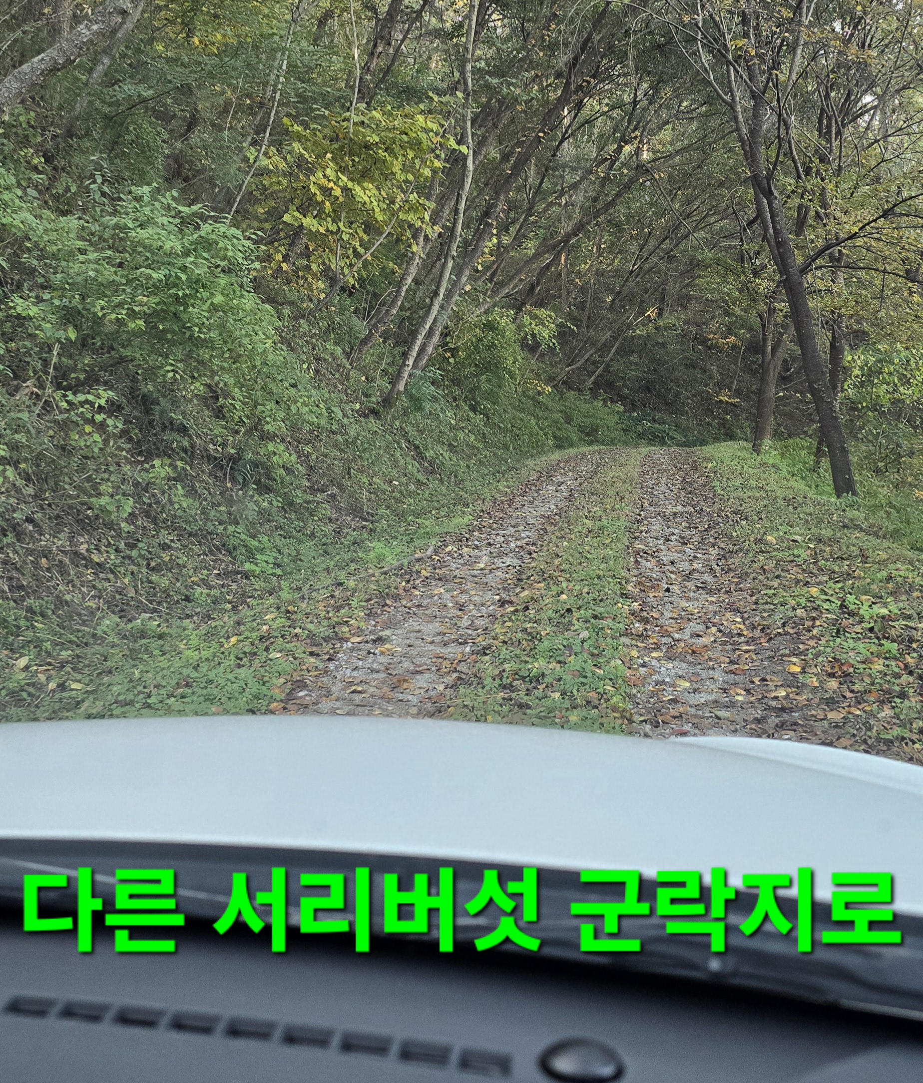 동행상조 이미지