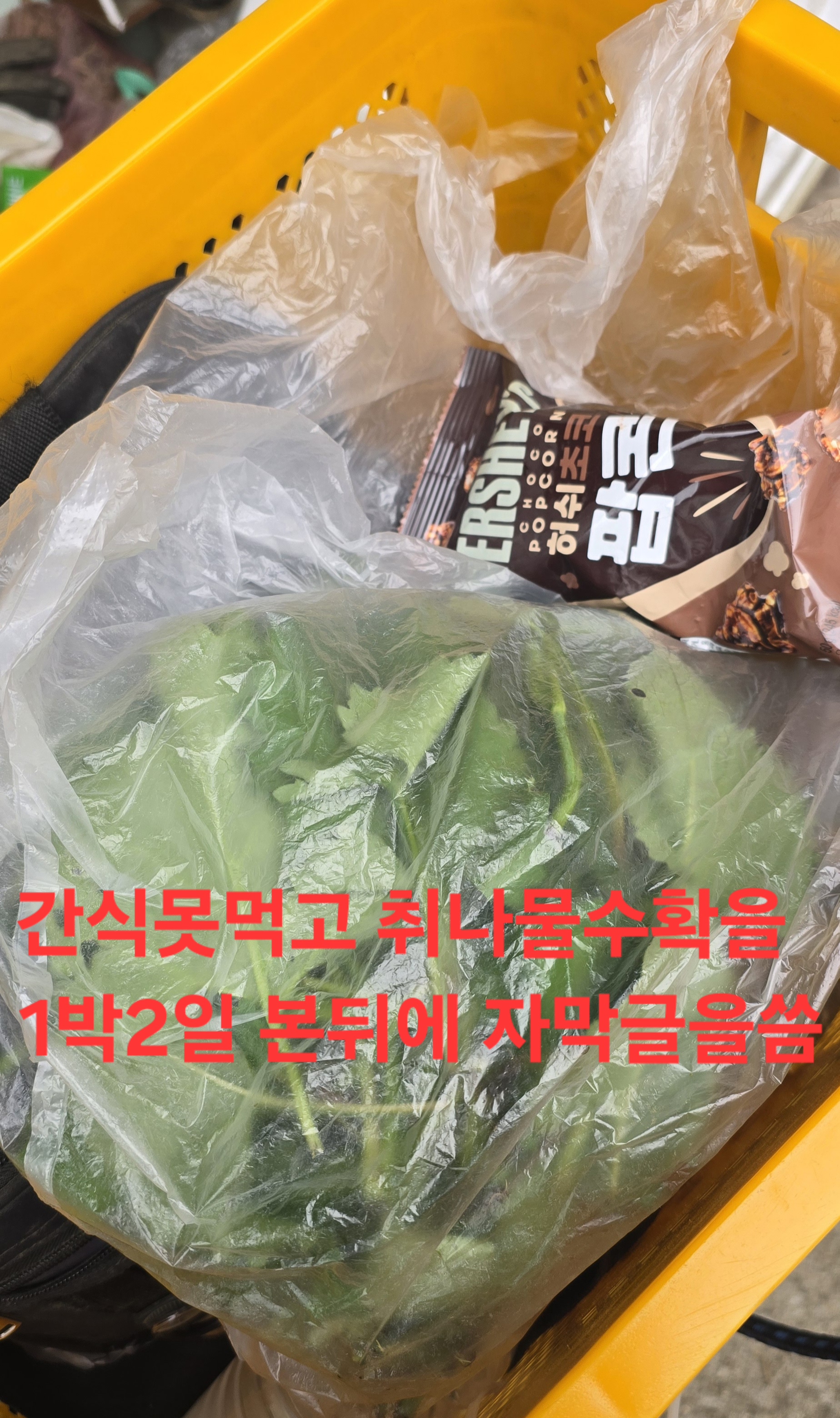 오전집 이미지