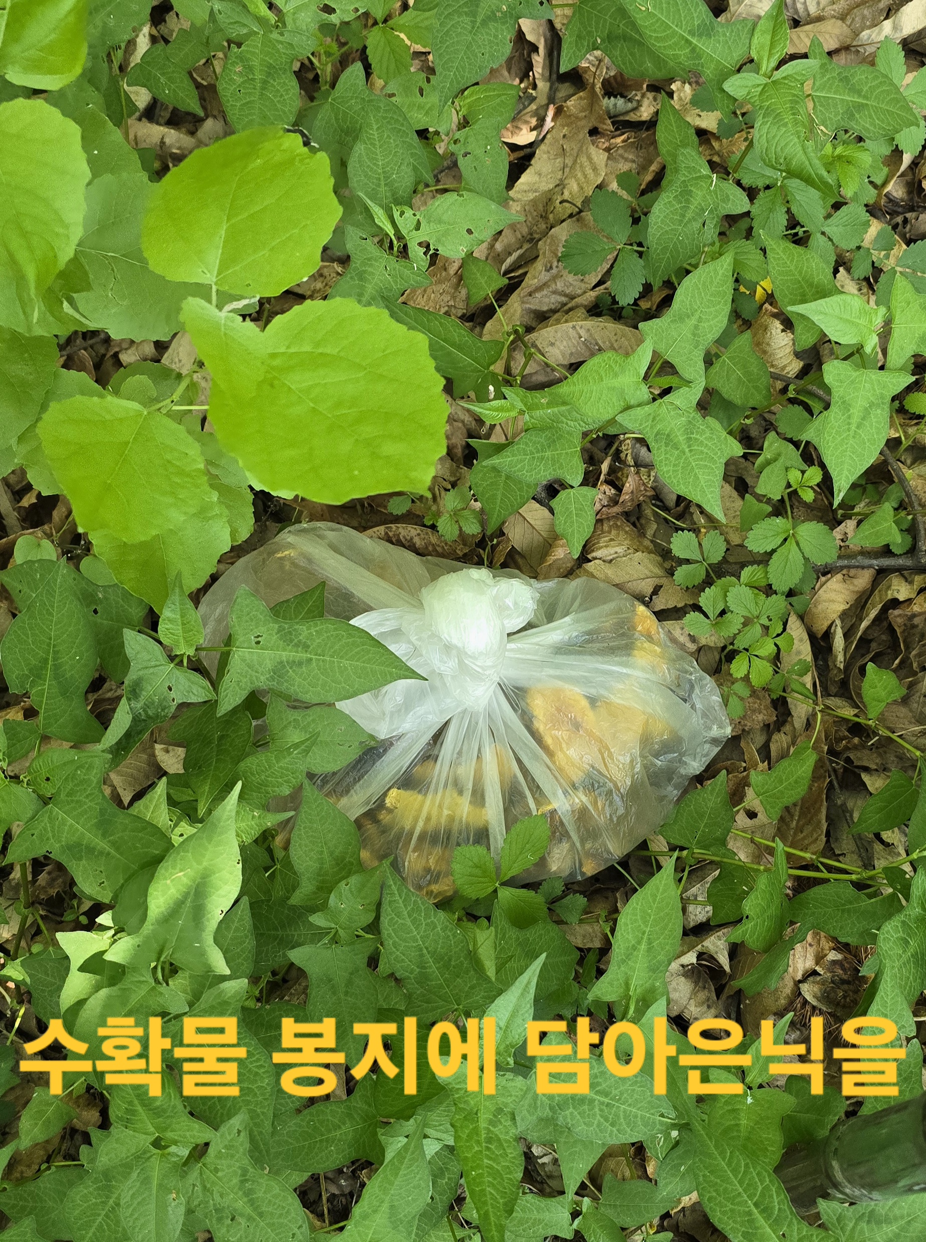 어부지리 이미지