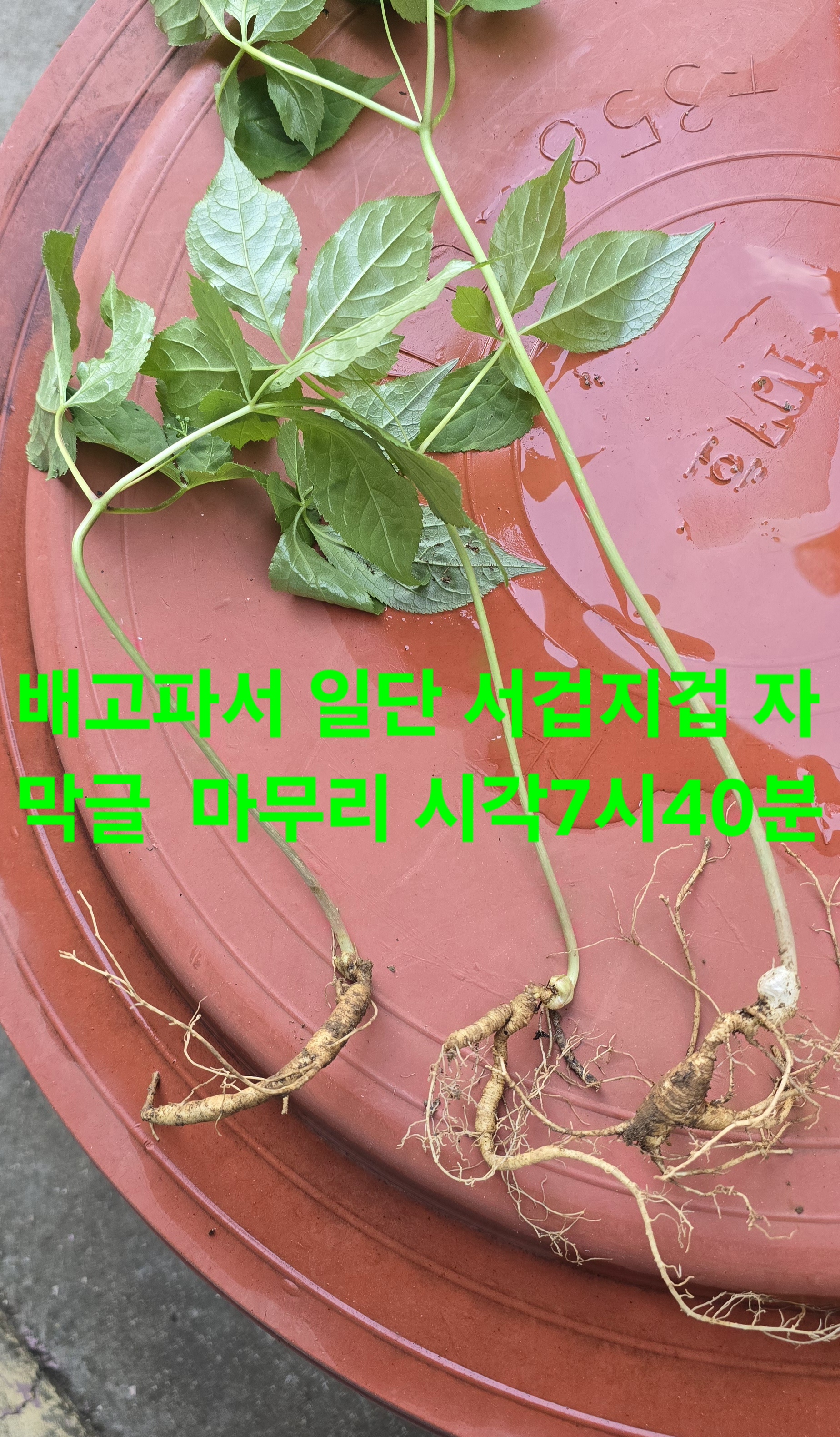 풍기농업협동조합 이미지
