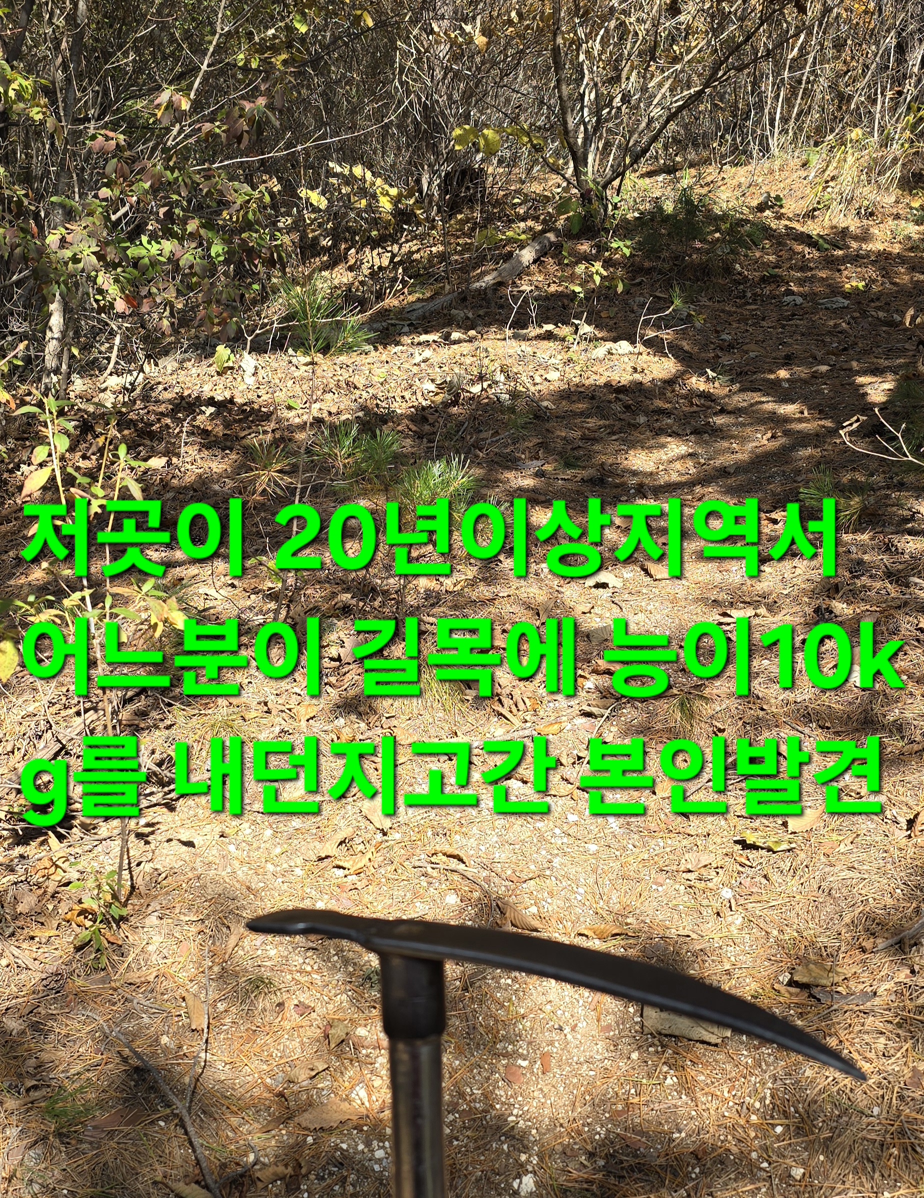 윈풀 이미지