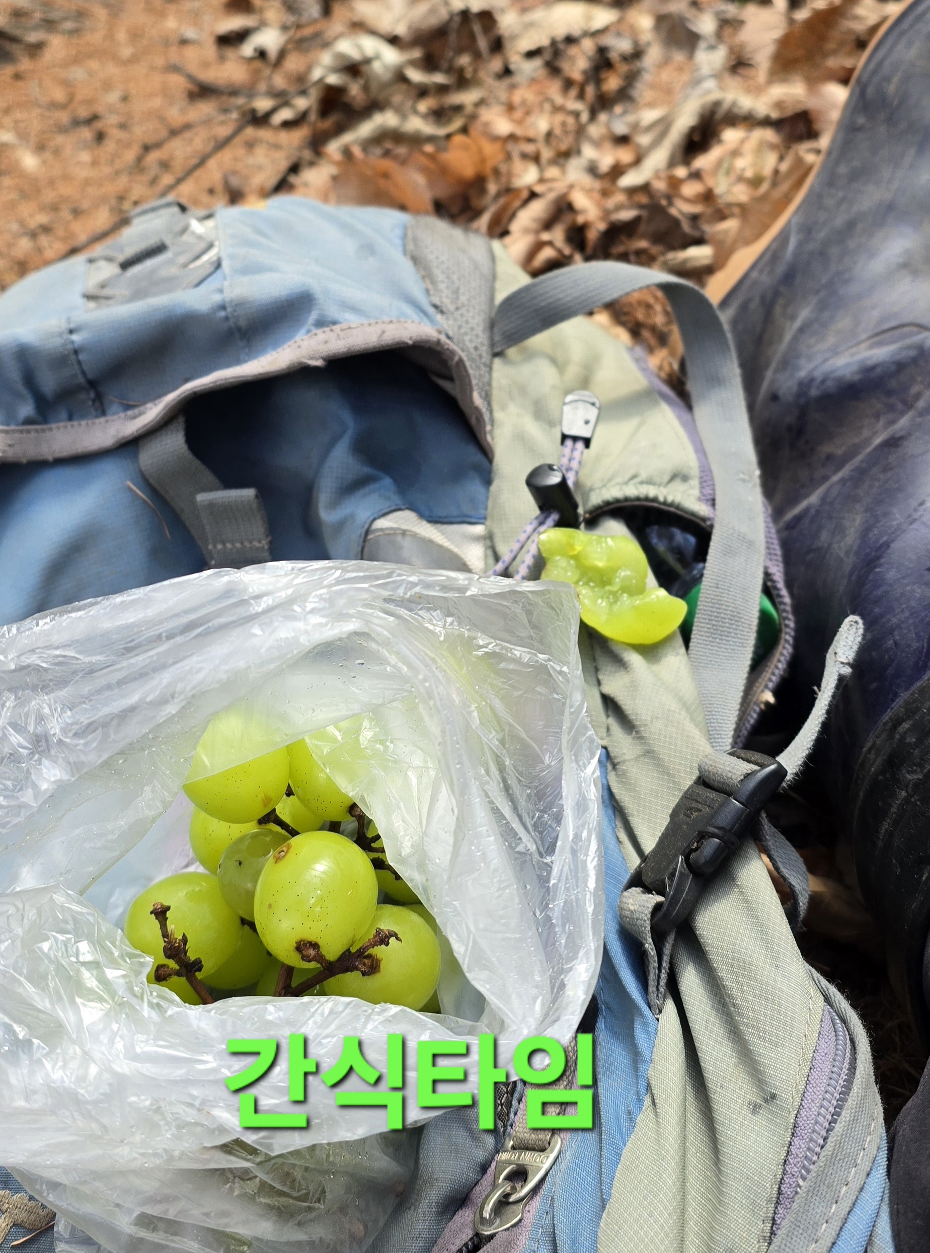 한골요 이미지