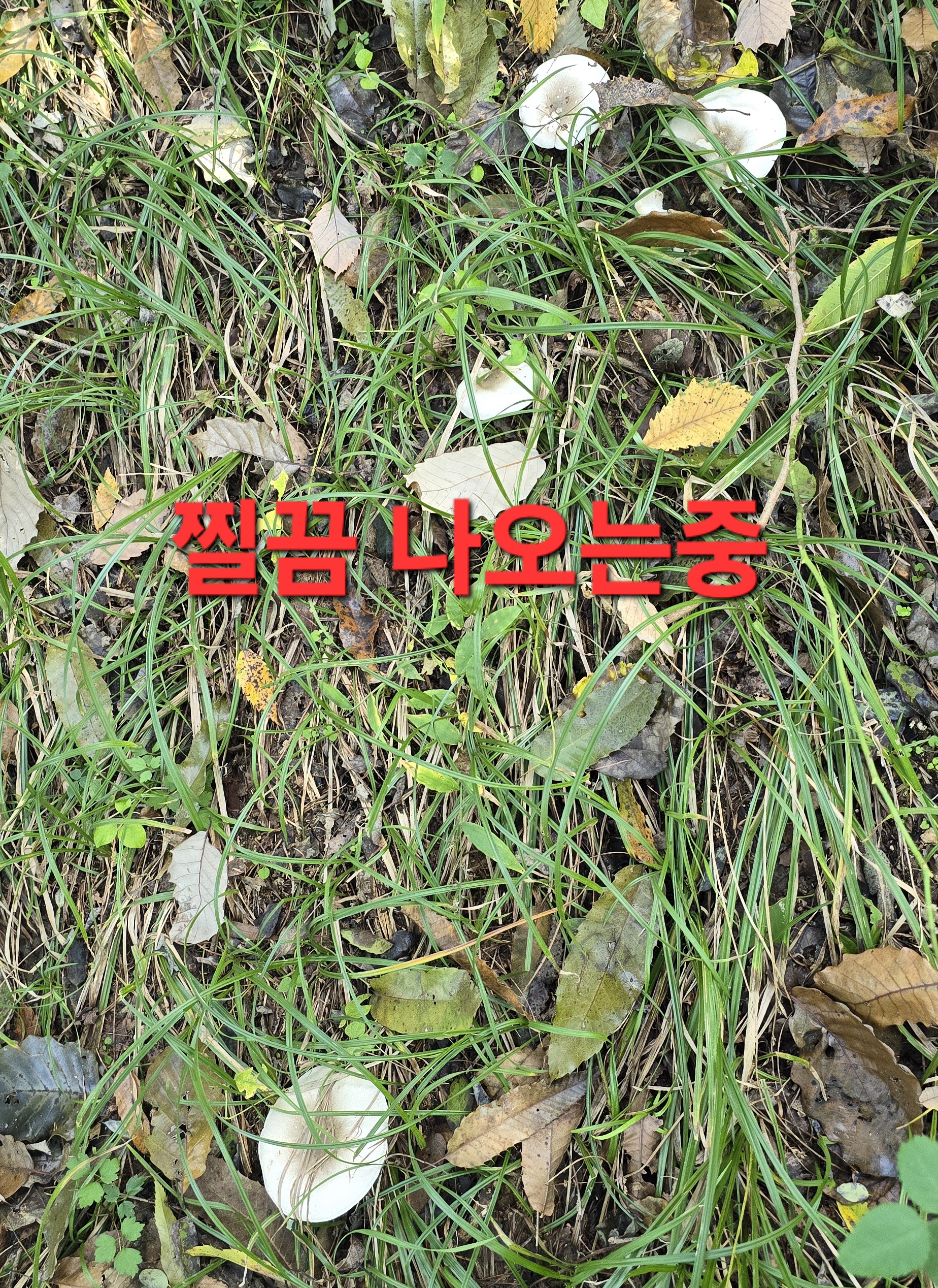 동행상조 이미지