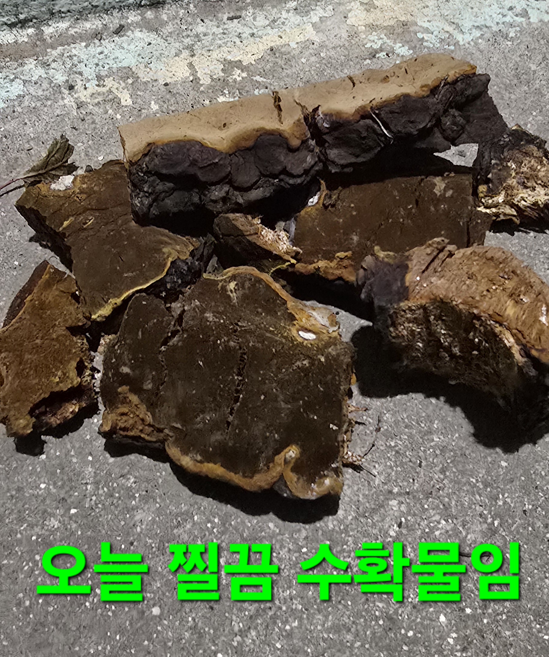카페오후3시 이미지