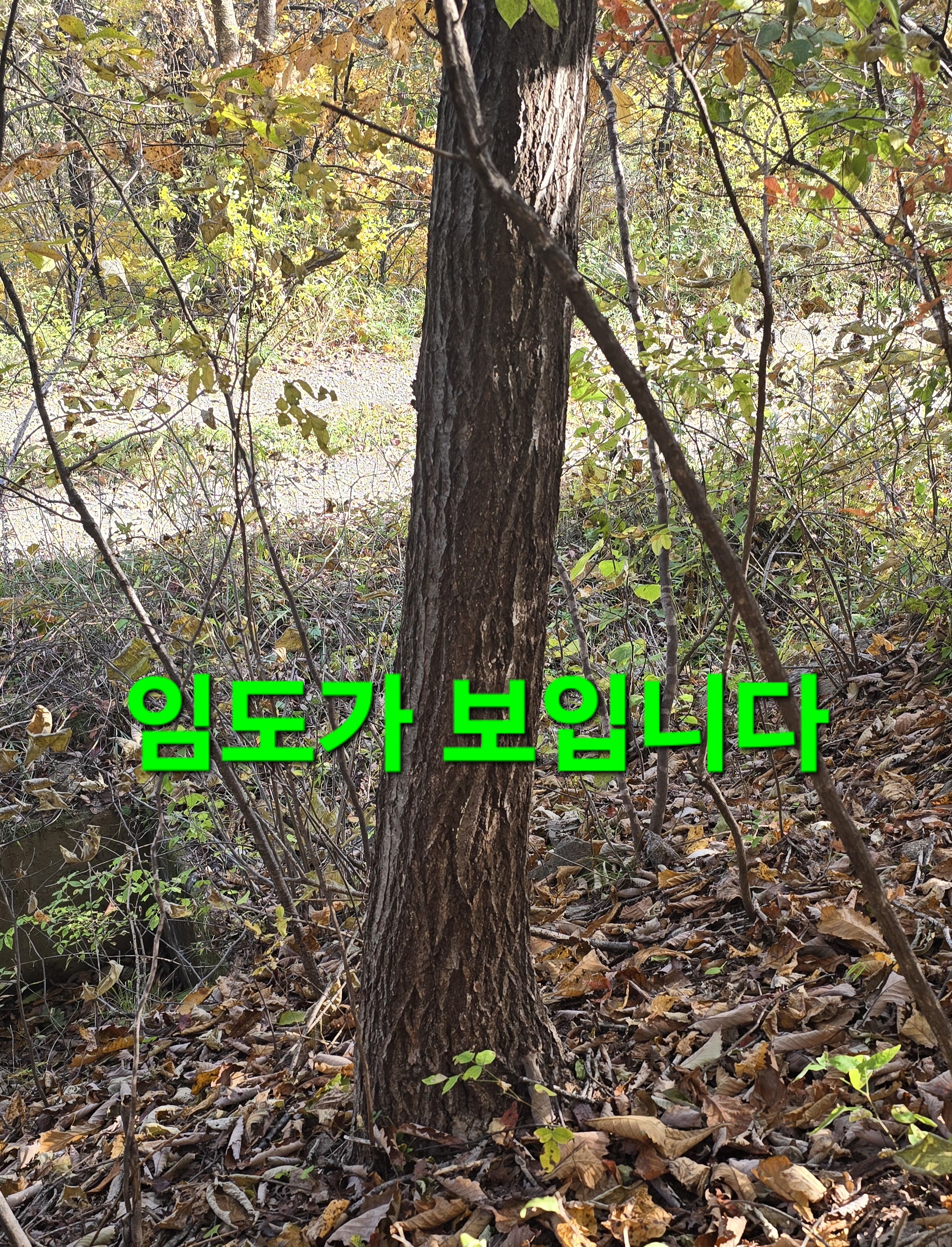 윈풀 이미지