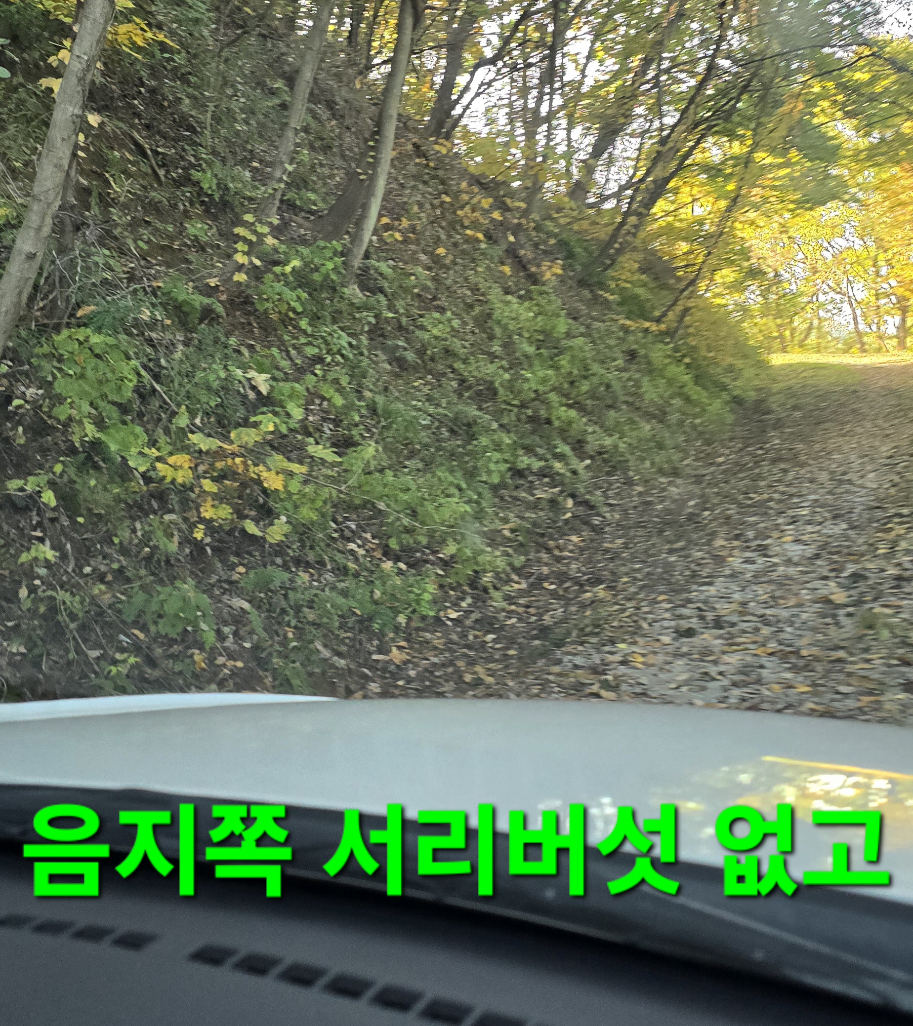 동행상조 이미지