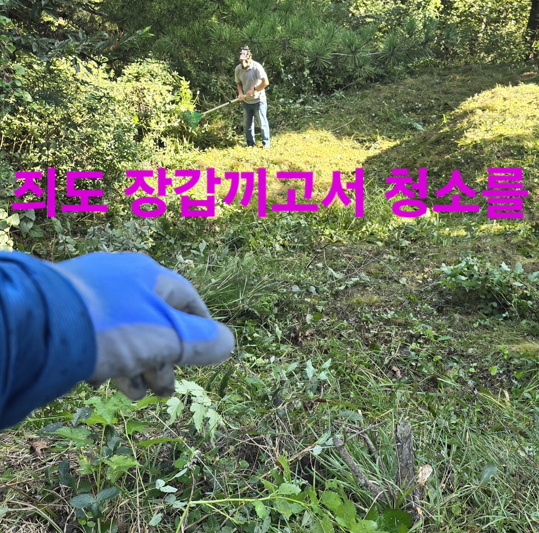 무진장 이미지