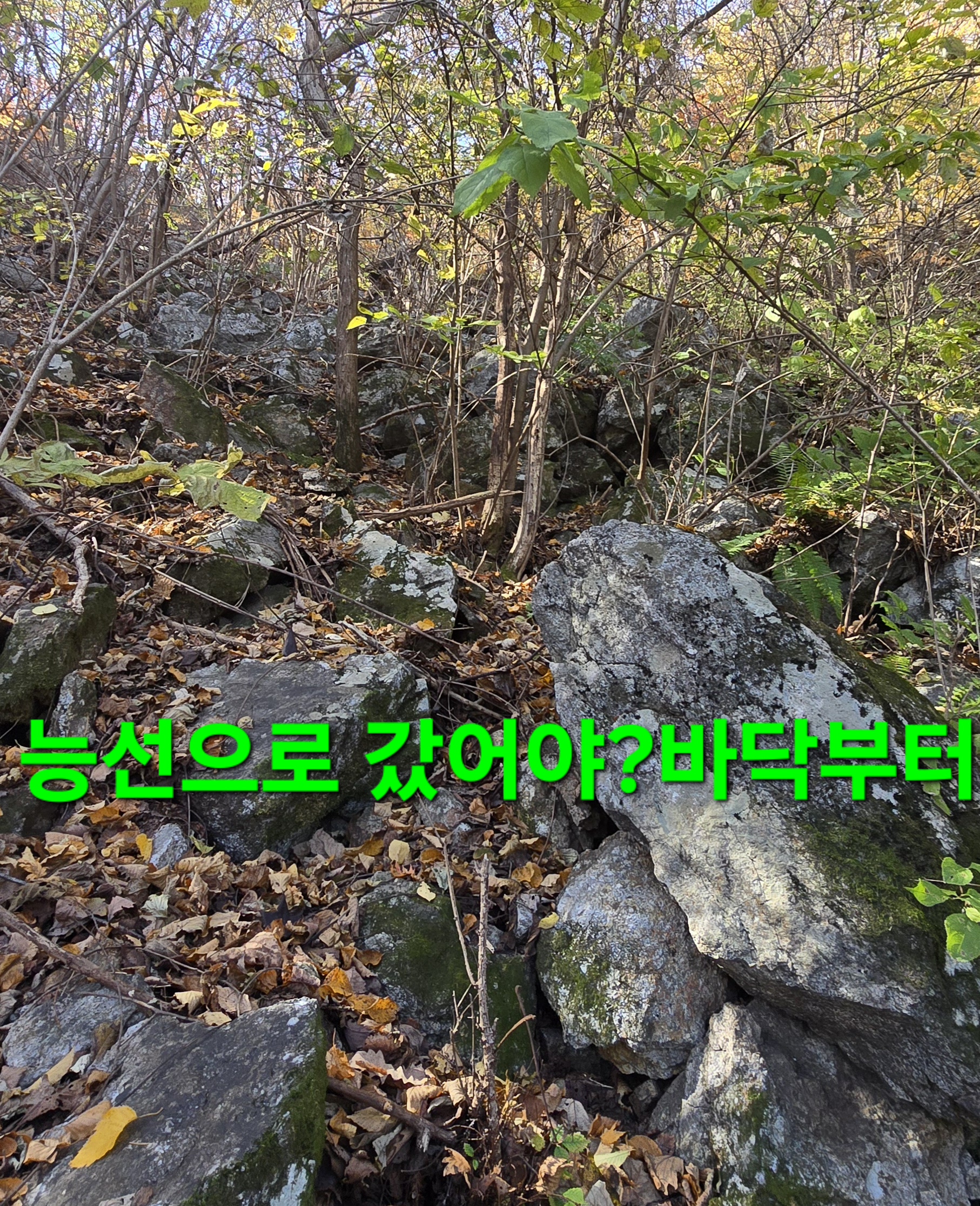 윈풀 이미지