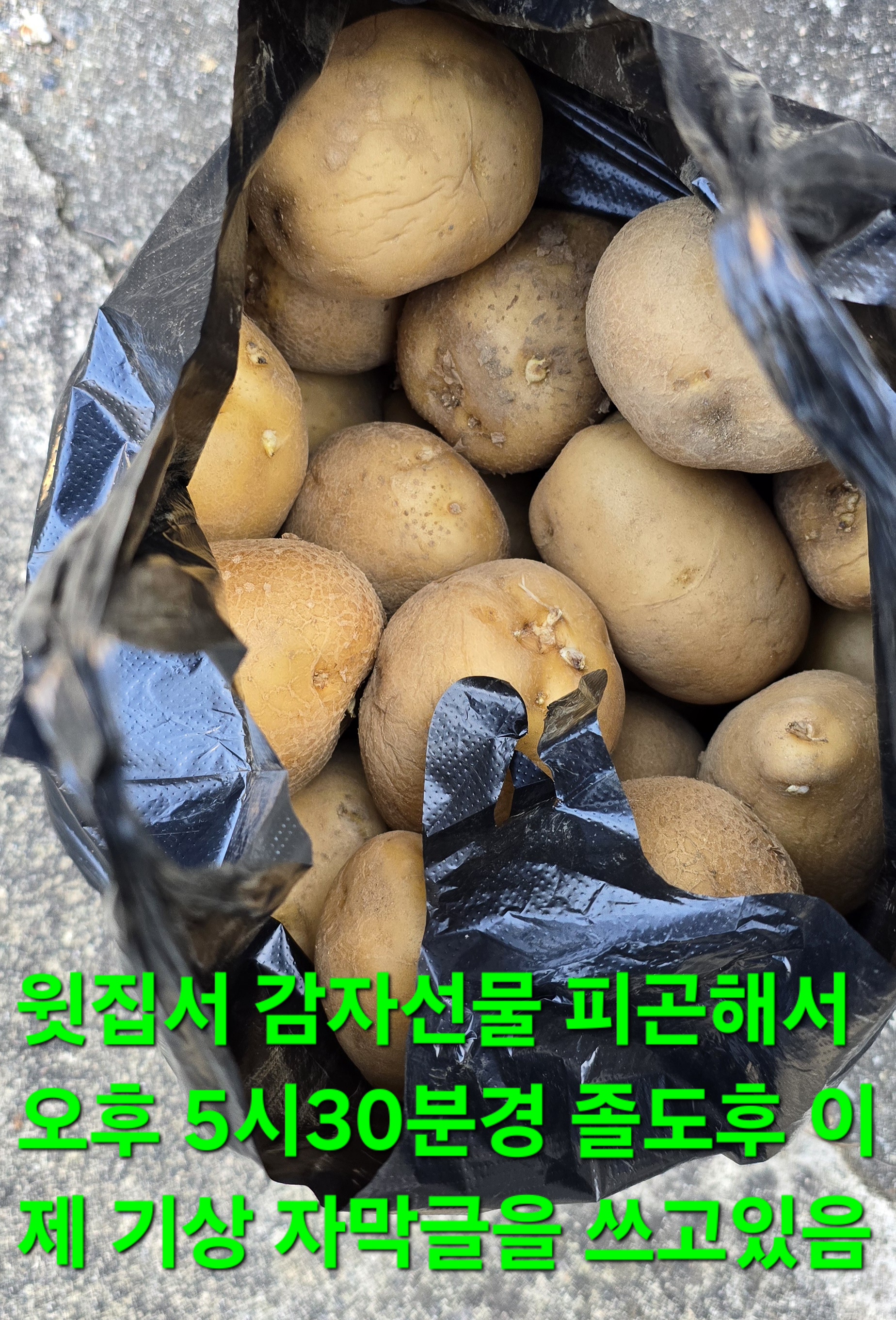 동행상조 이미지