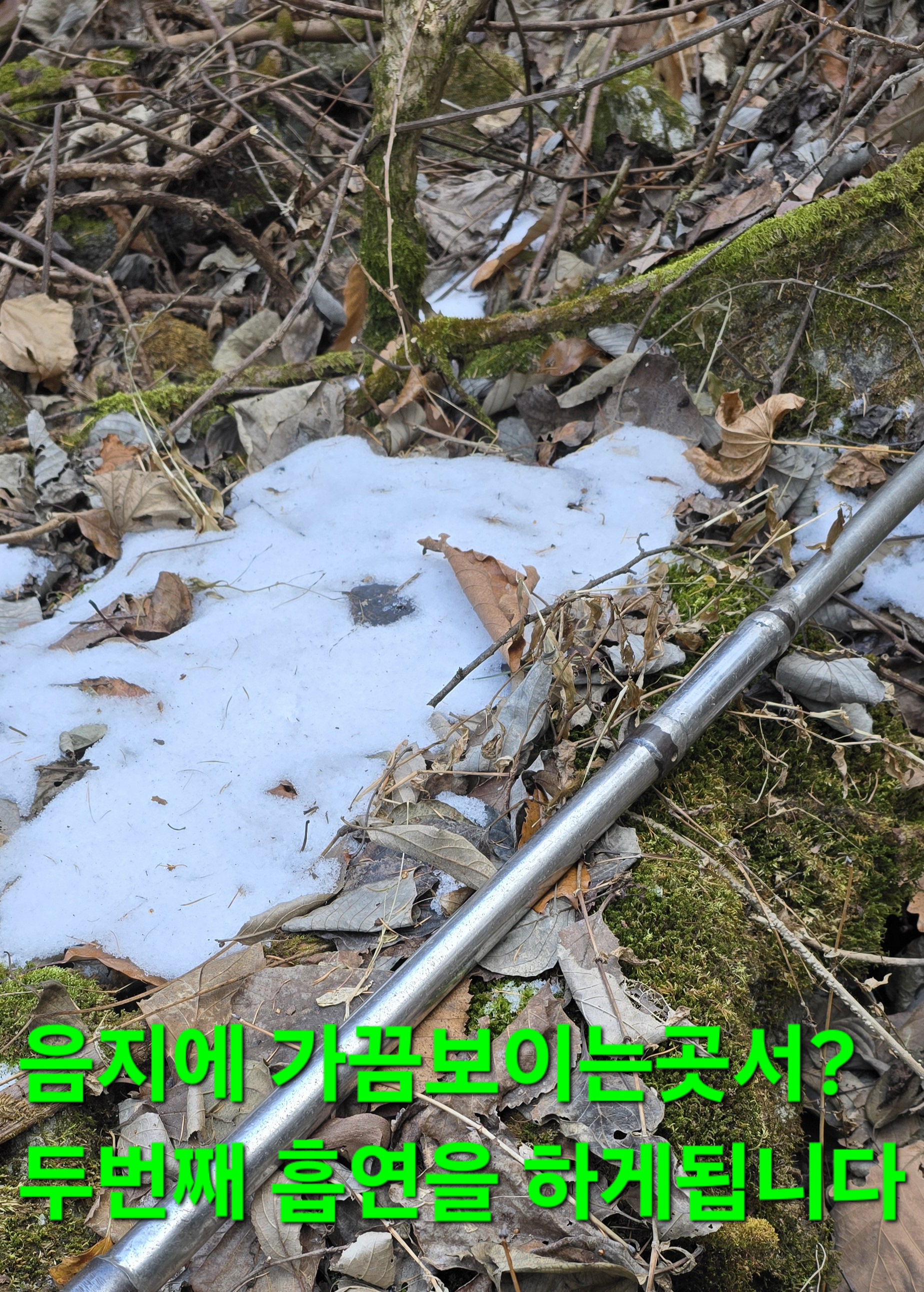 크로도 이미지
