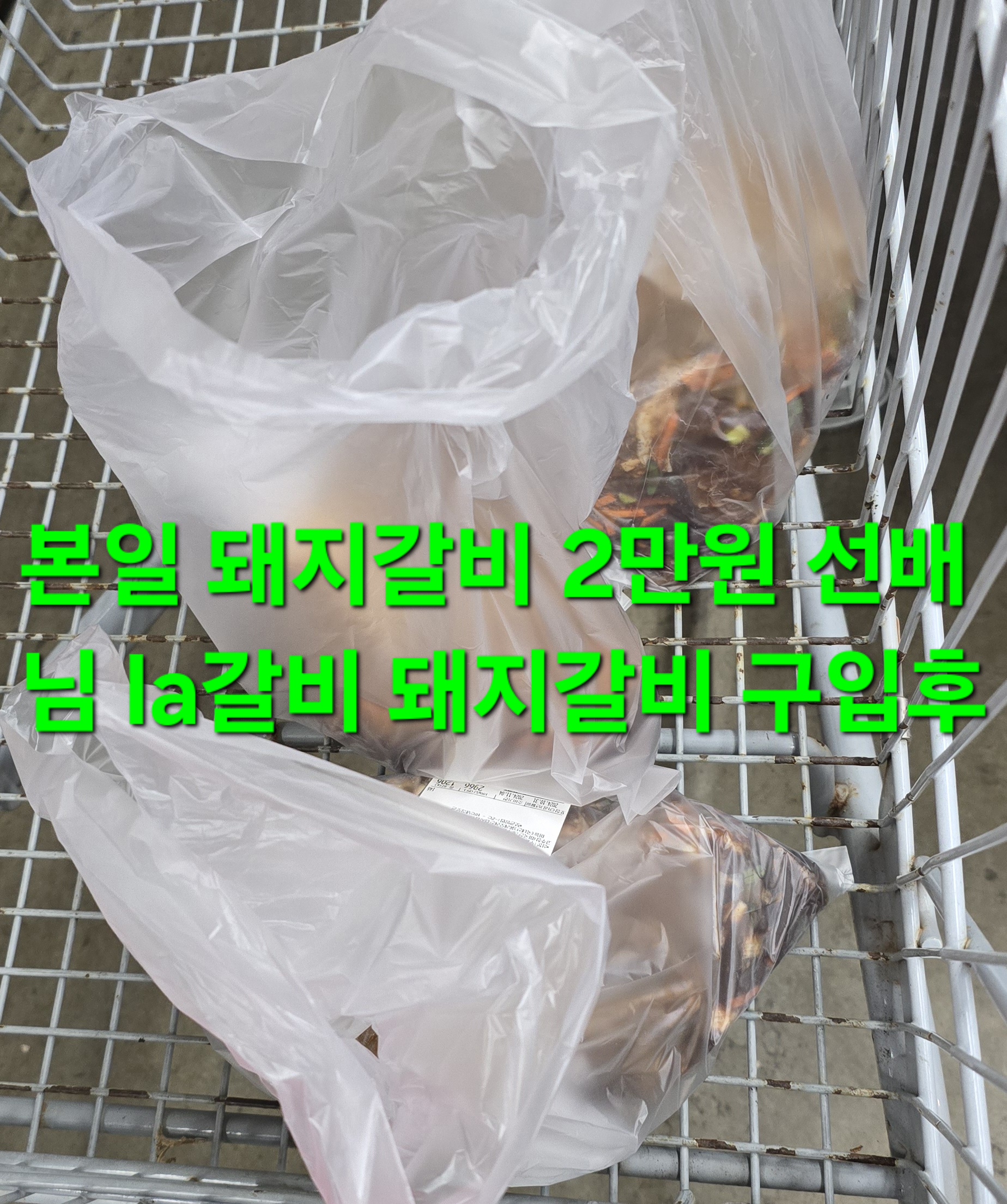 동행상조 이미지
