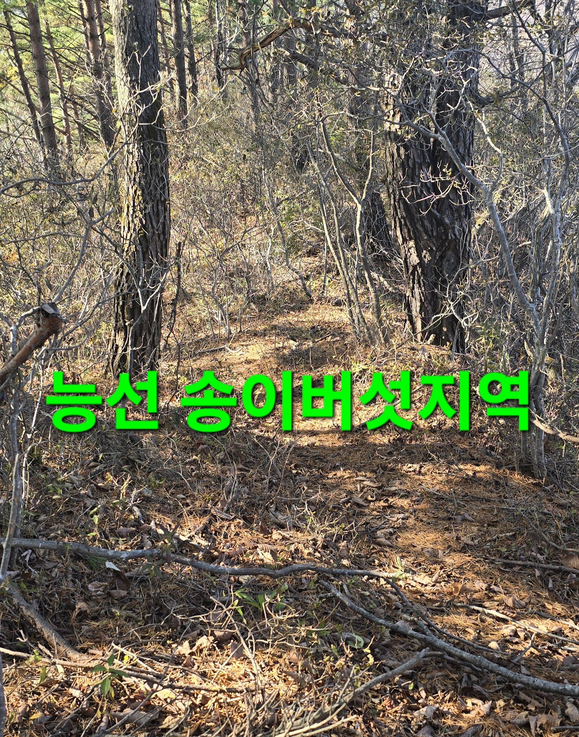 윈풀 이미지