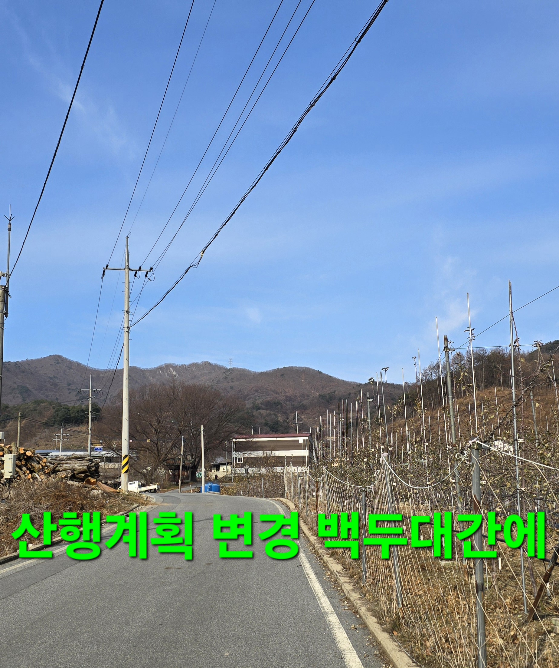 크로도 이미지
